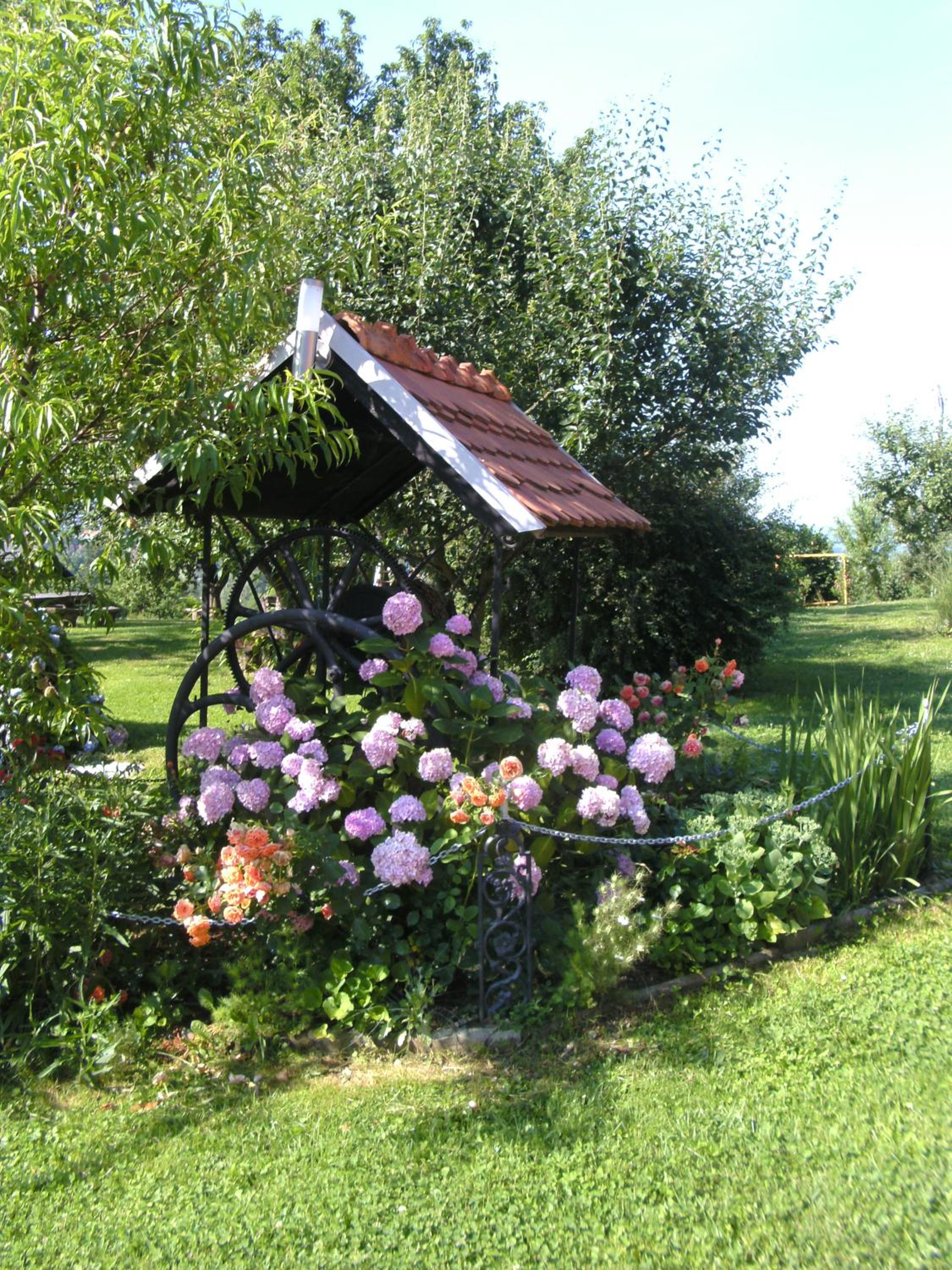 Photo 23
