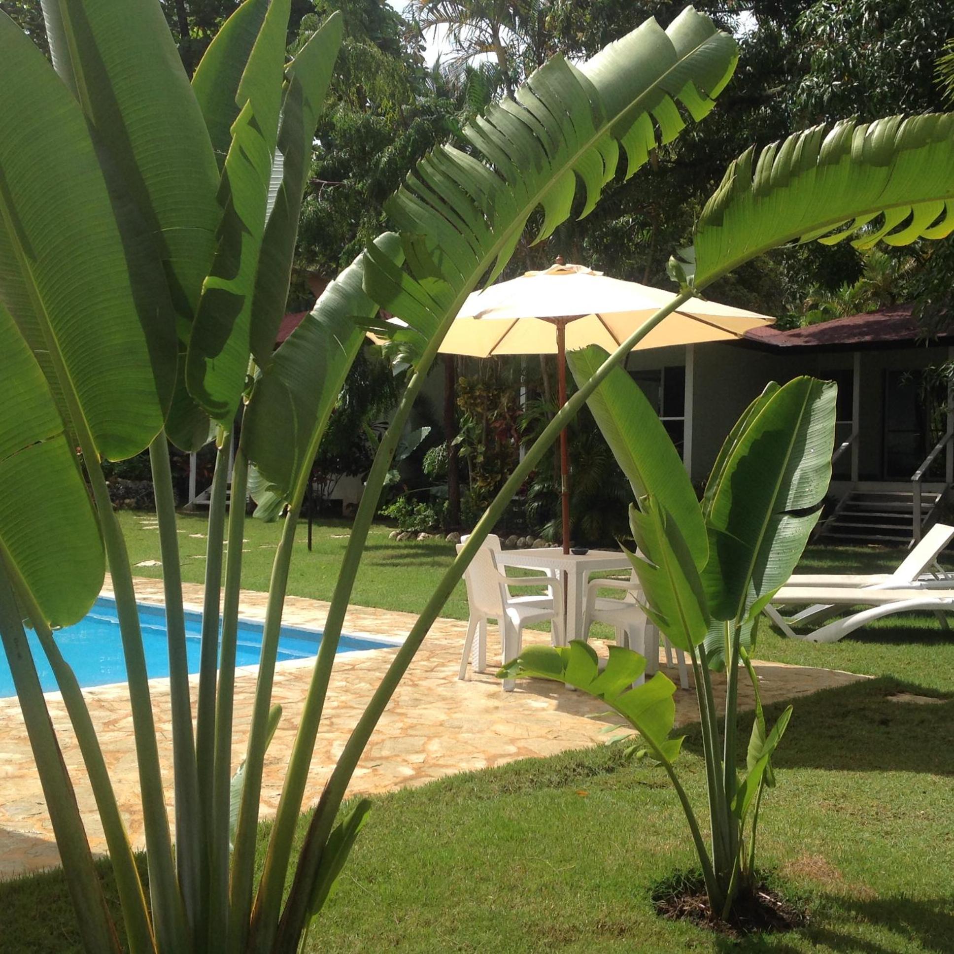 Bungalow Natura Village