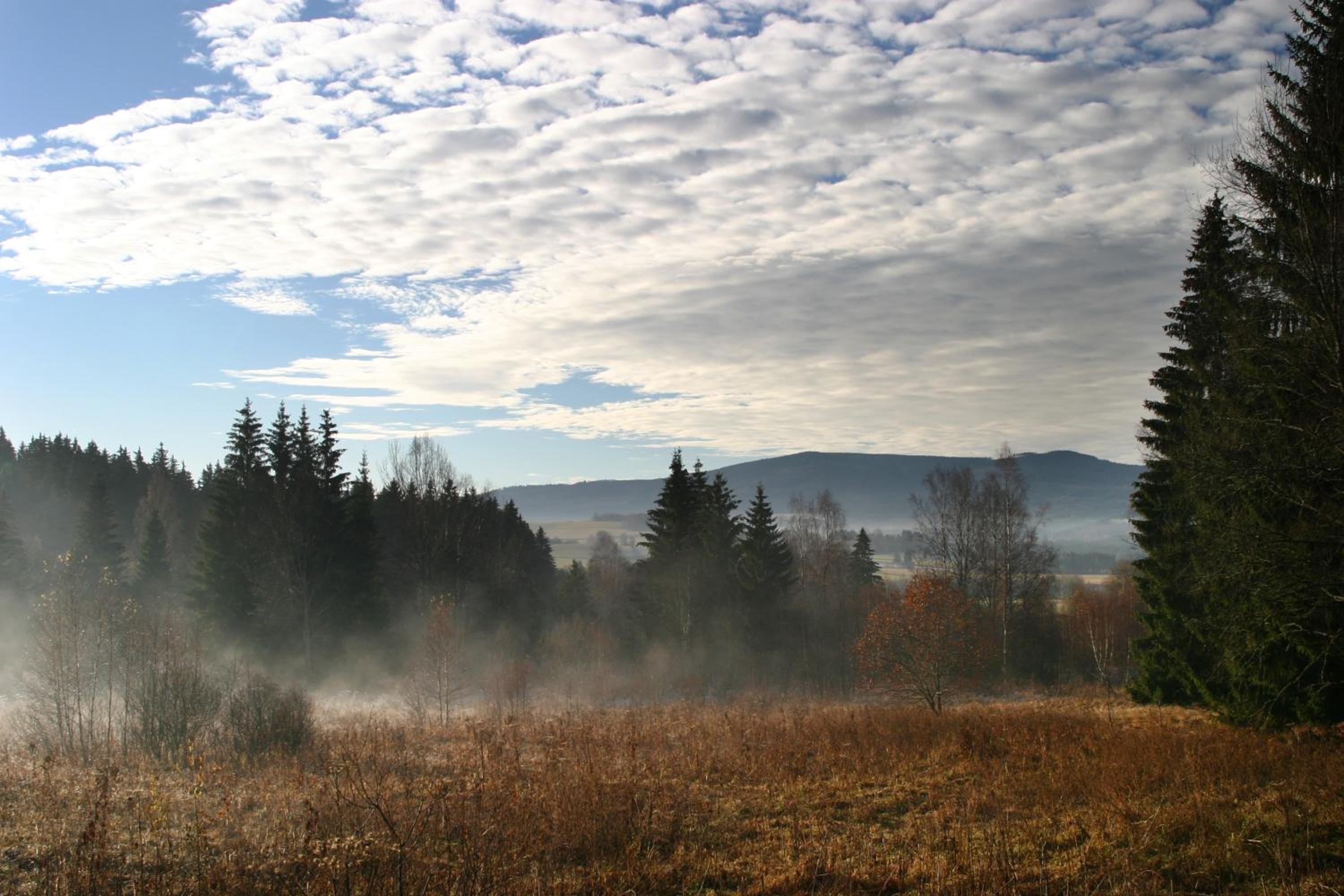 Photo 49