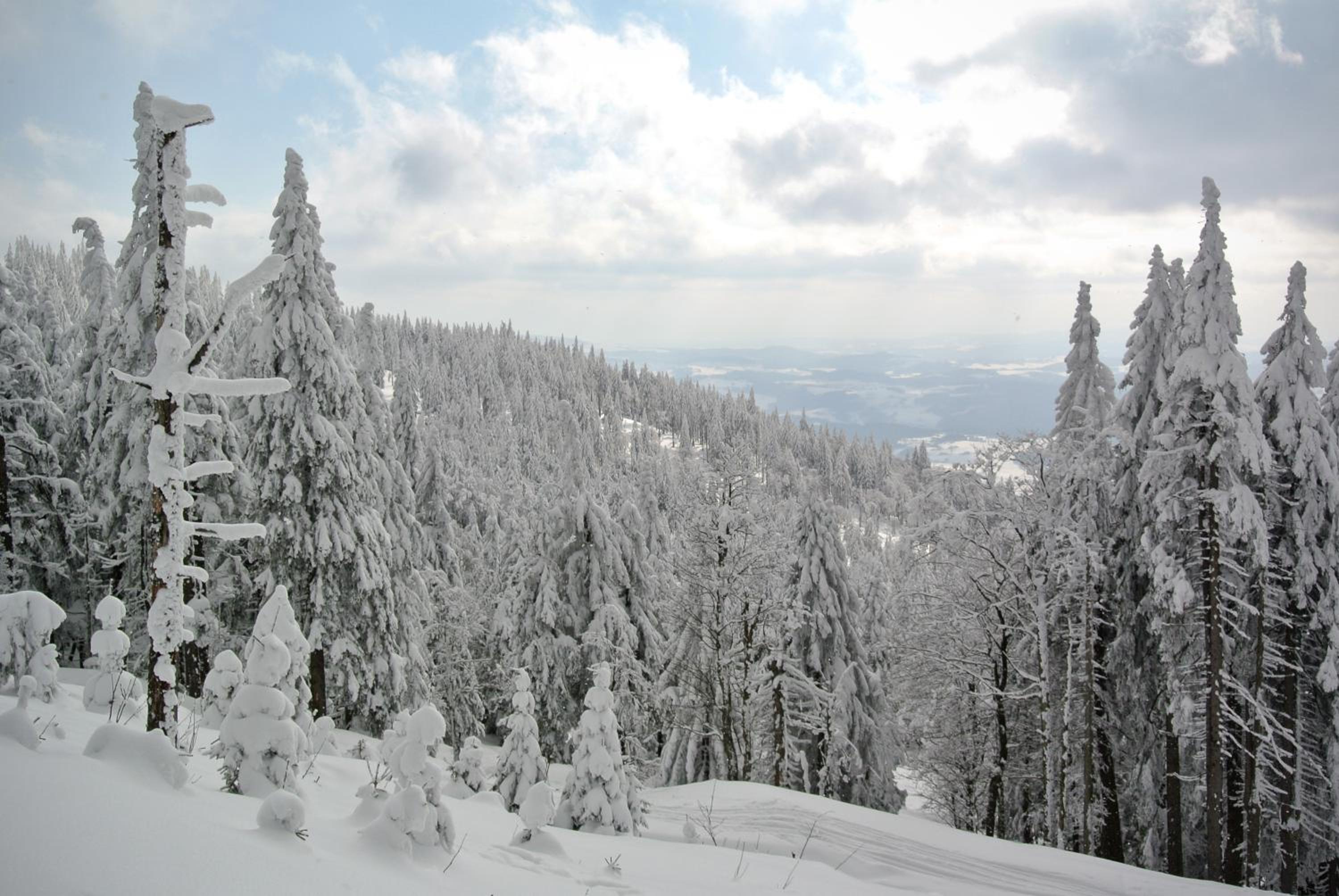 Photo 48
