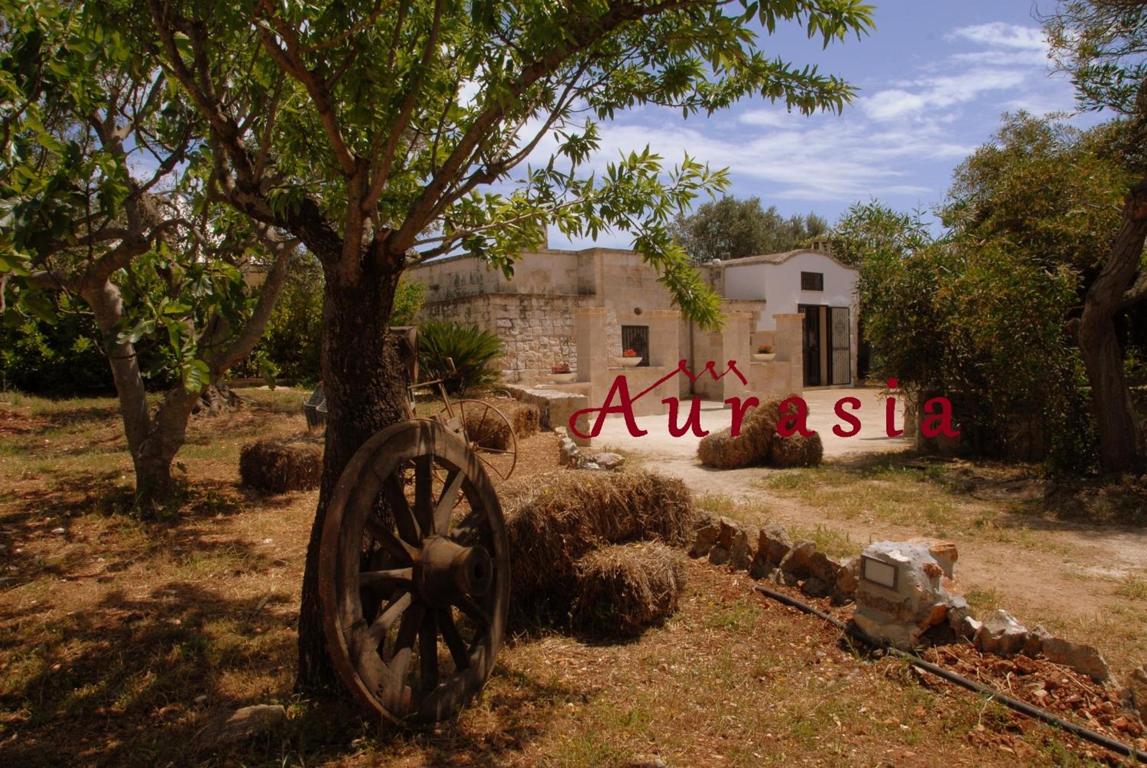 B&b Aurasia
