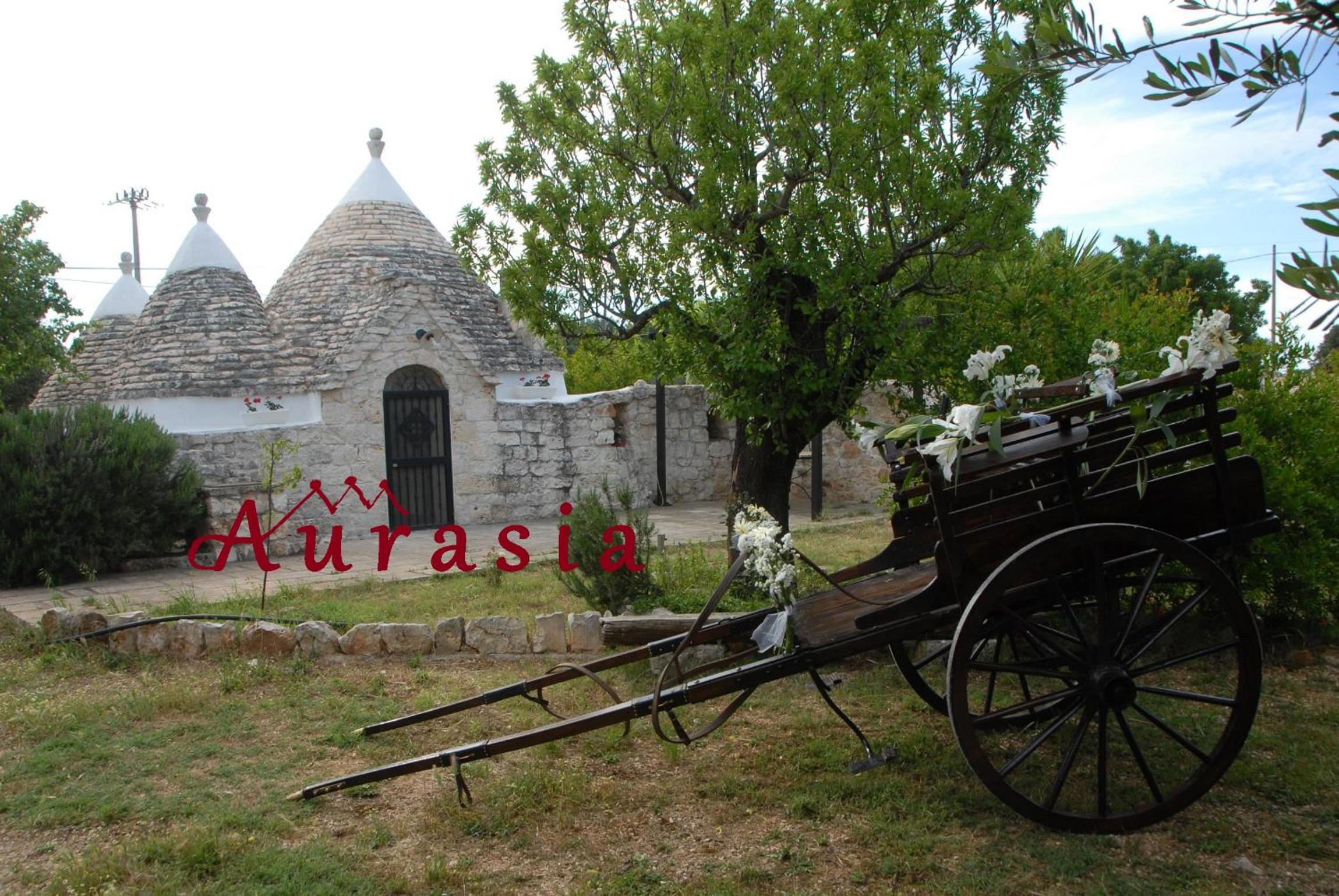 B&b Aurasia