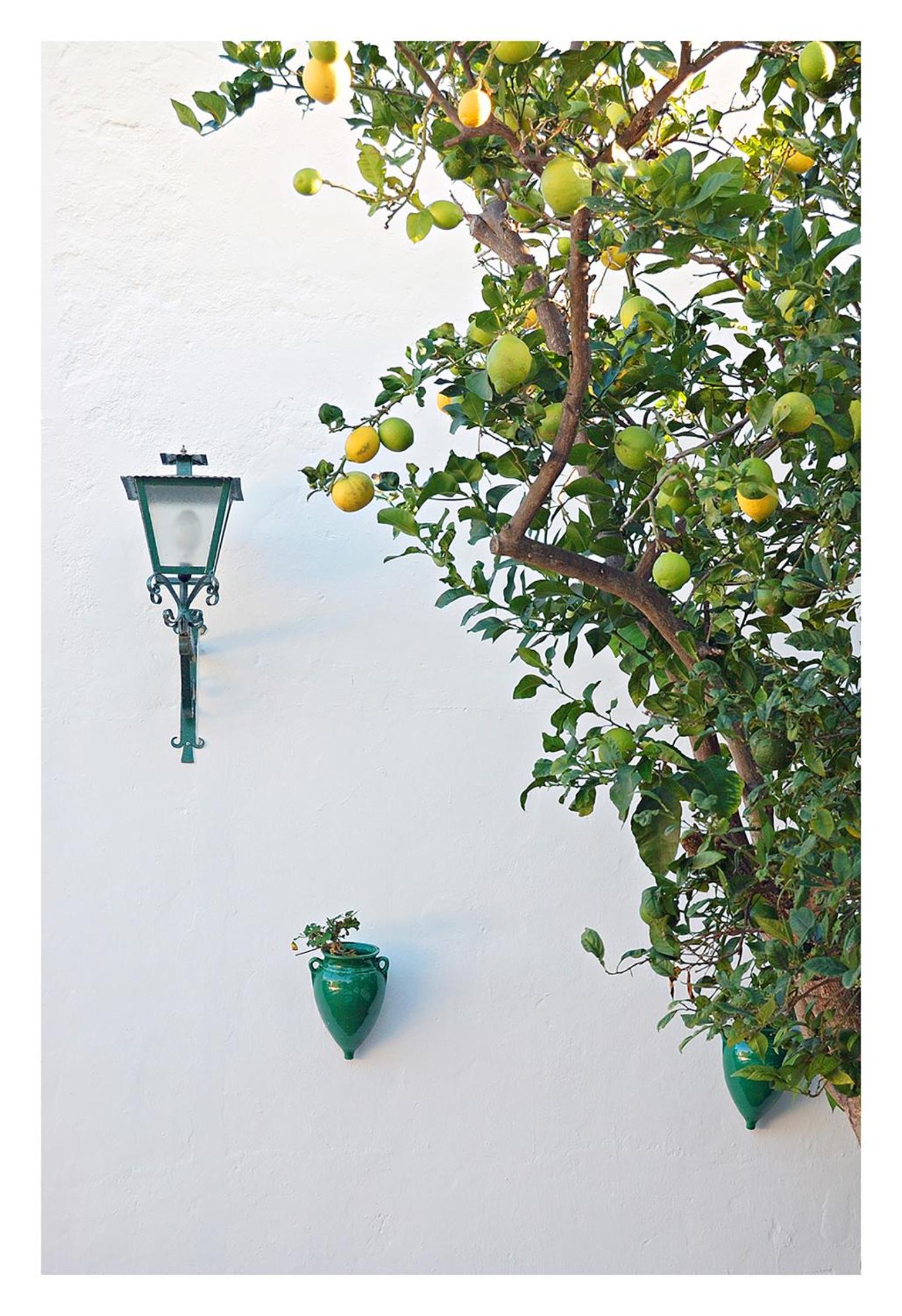 Hostal La Posada