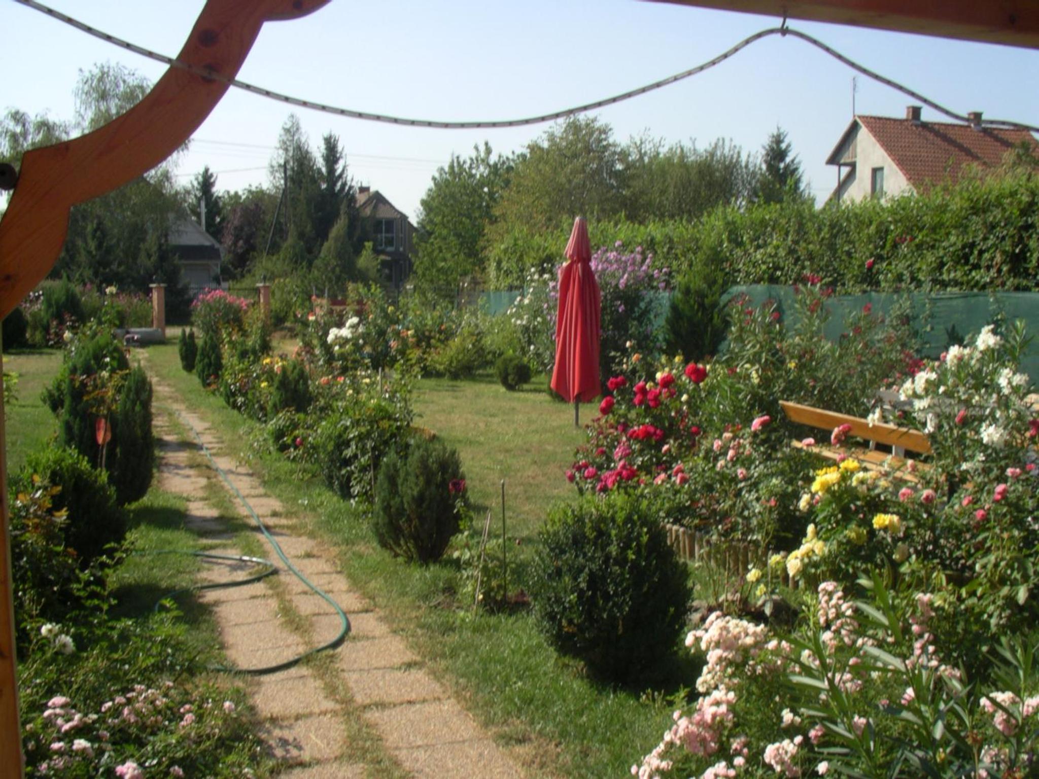 Photo 47