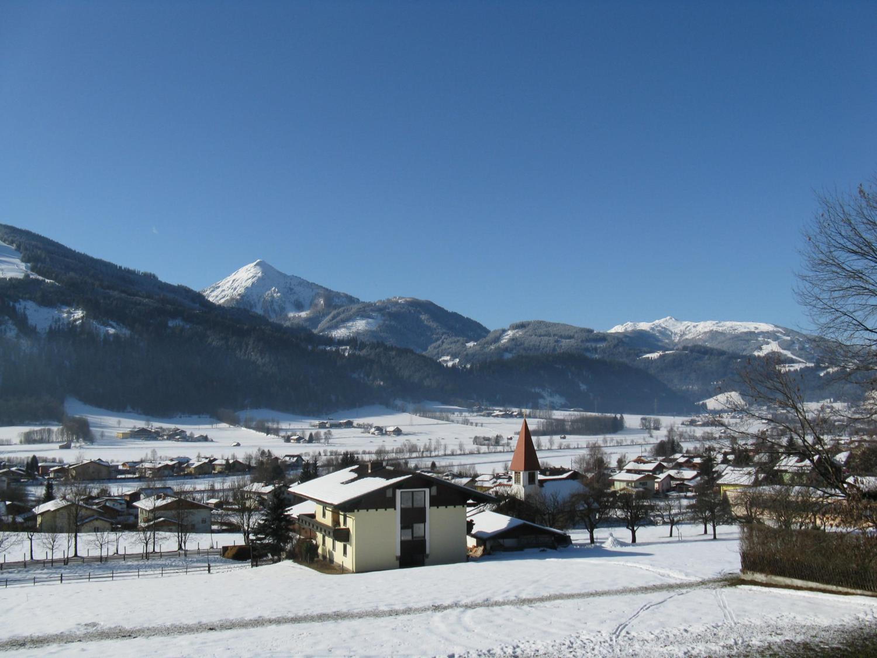 Photo 41