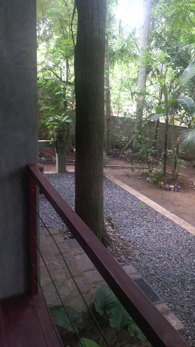 Photo 37