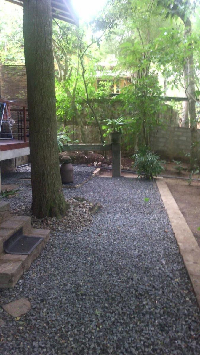Photo 38