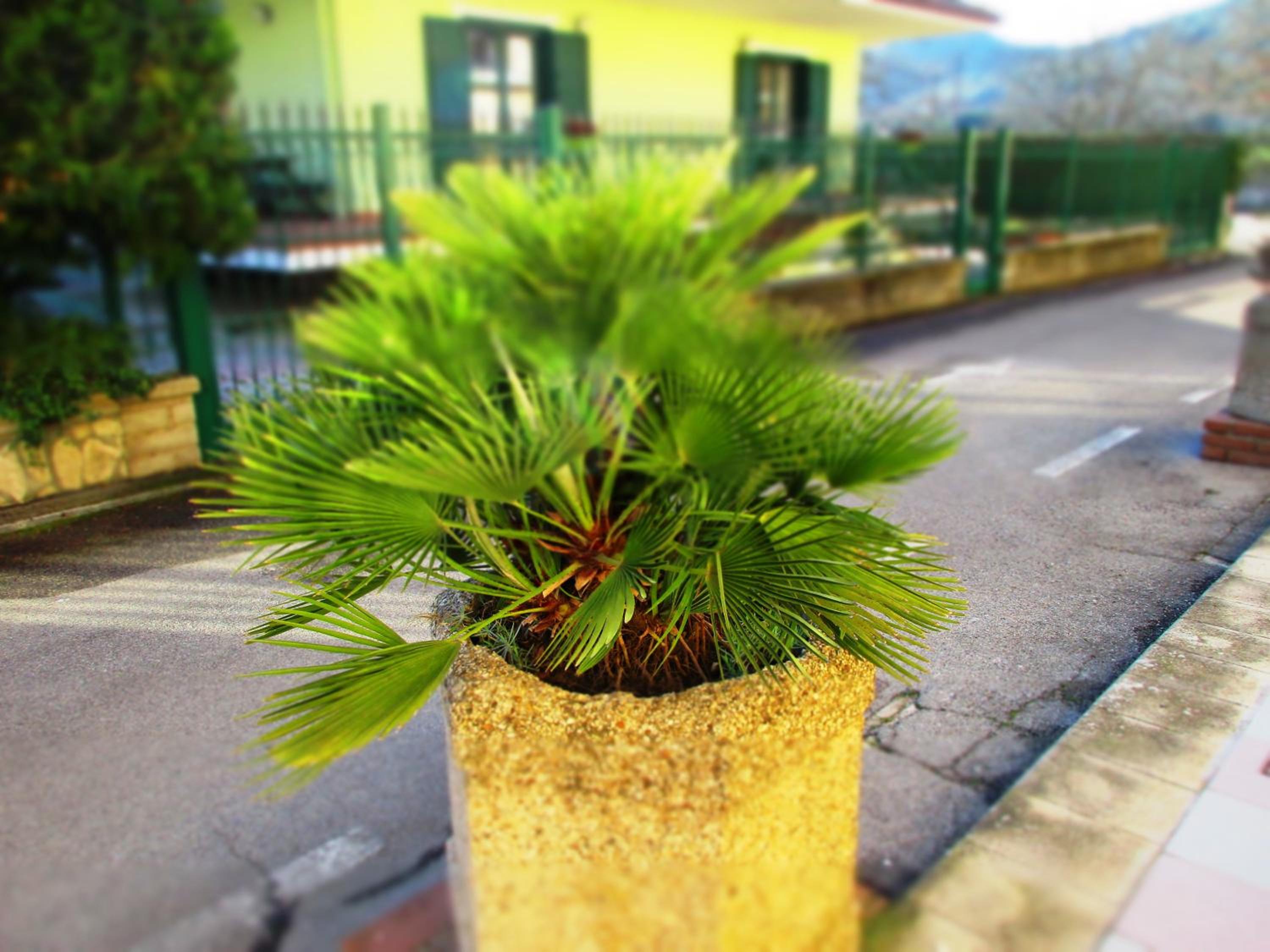 Hotel Rosso Di Sera - Property Image 21