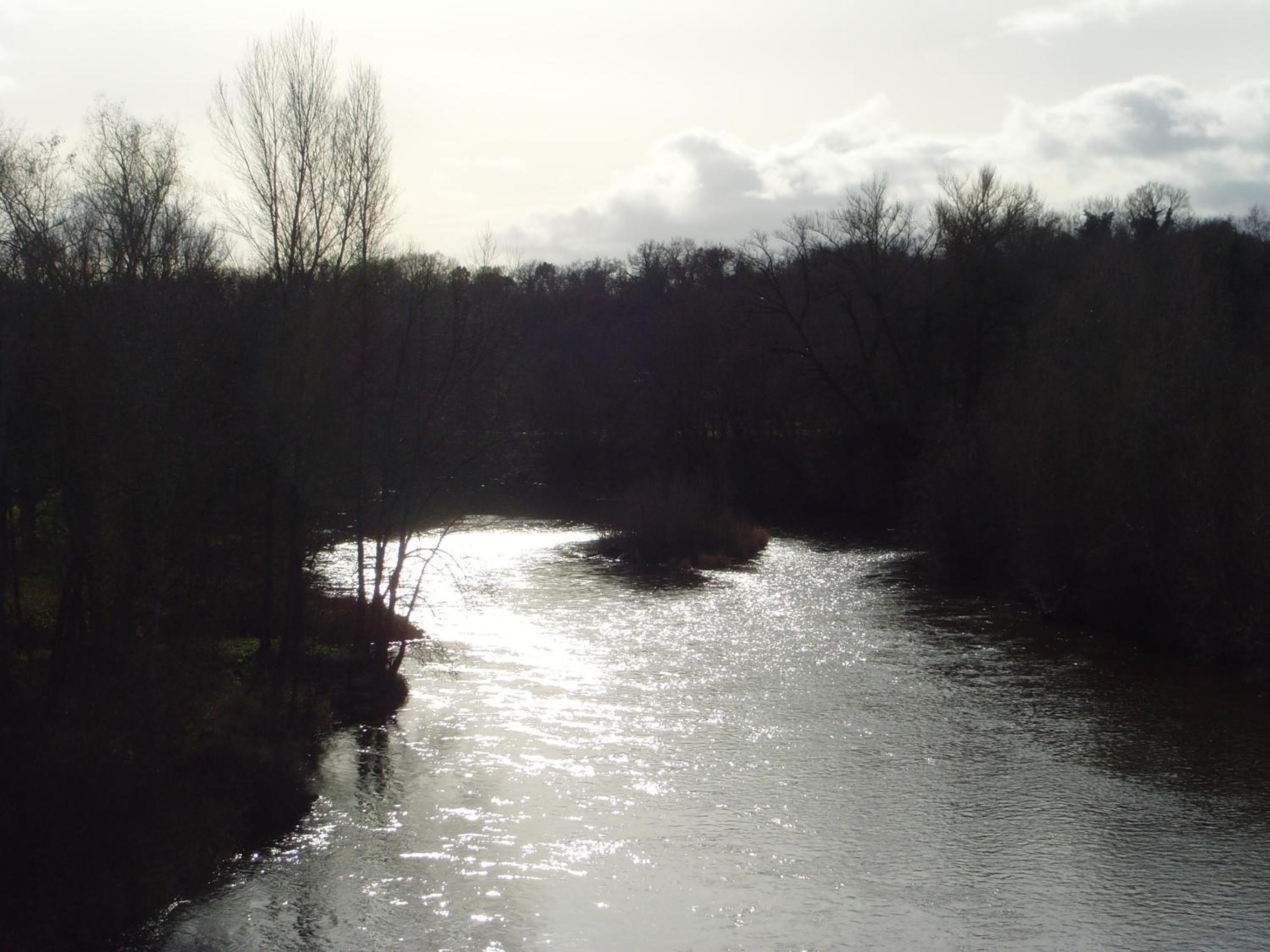 Photo 33
