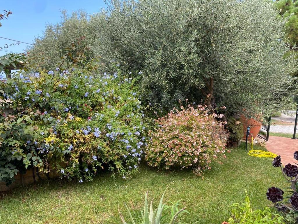 Grande appartamento in casale ristrutturato