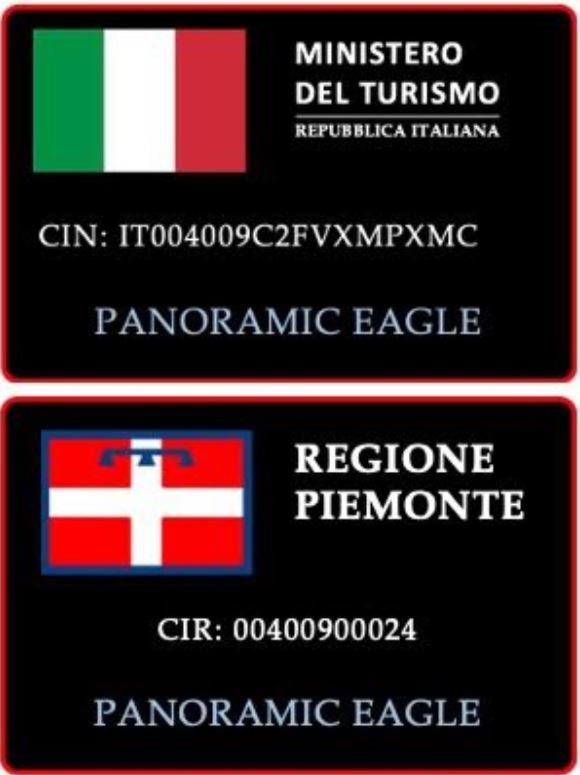 Panoramic Eagle
