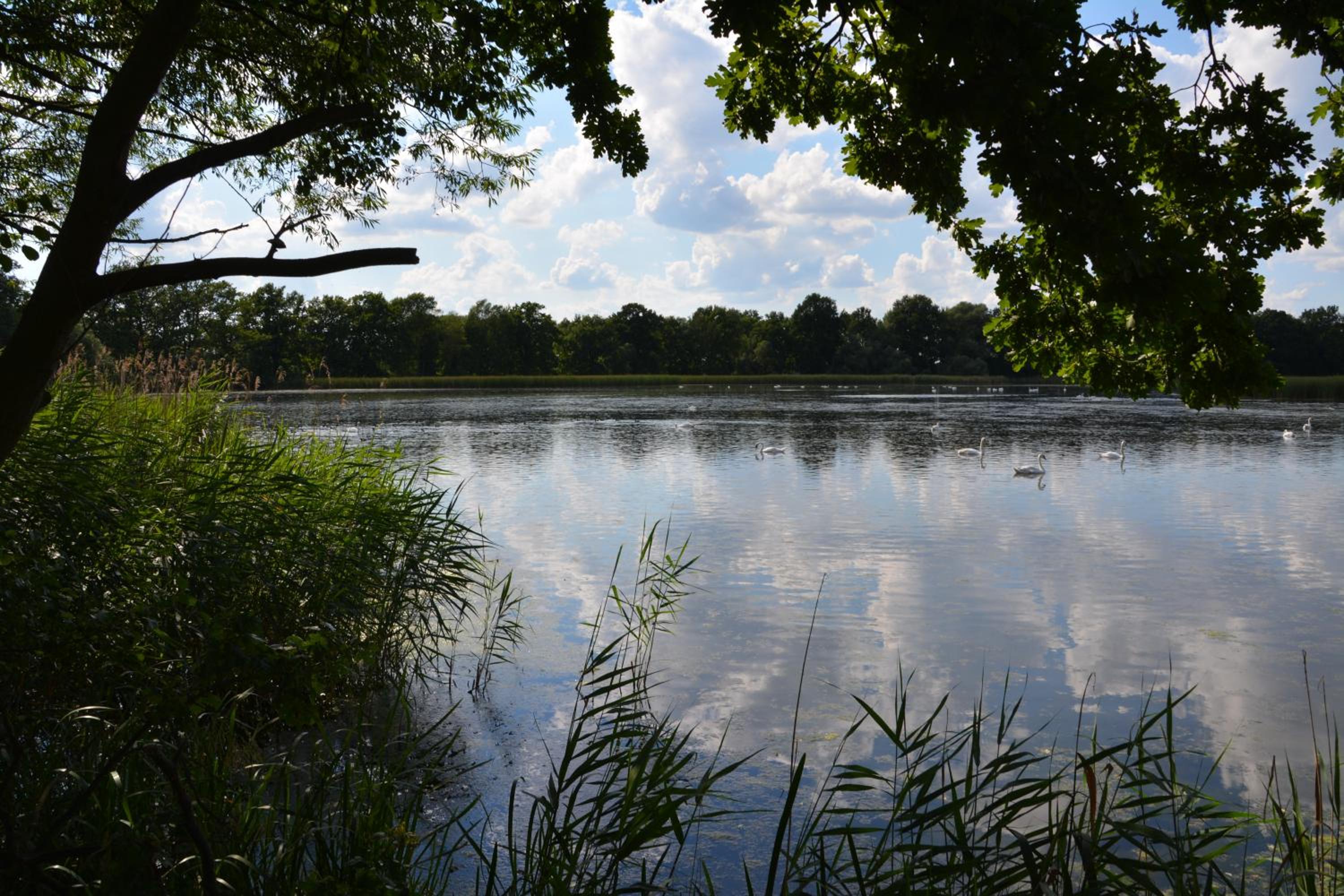 Photo 47