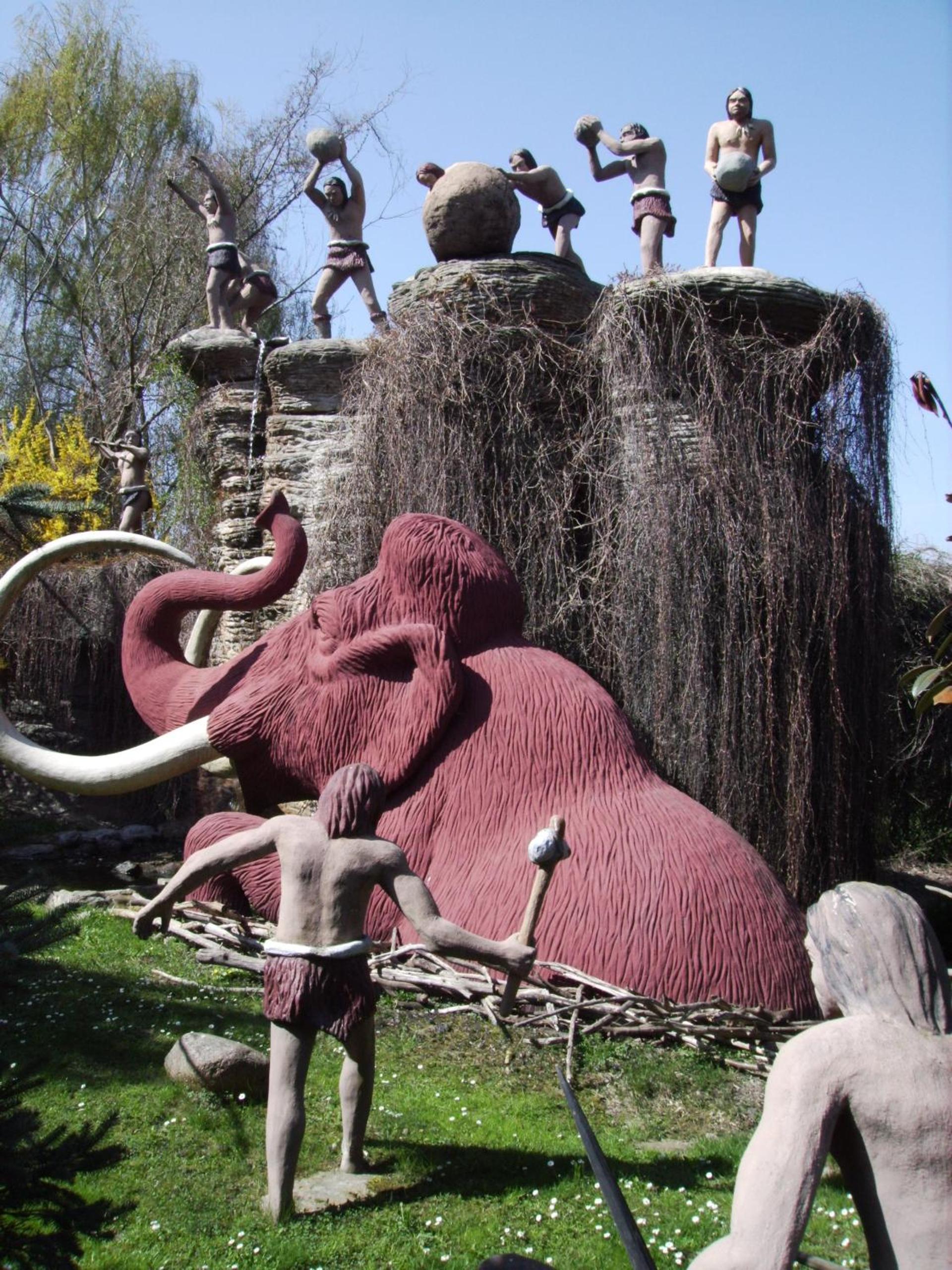 Photo 41