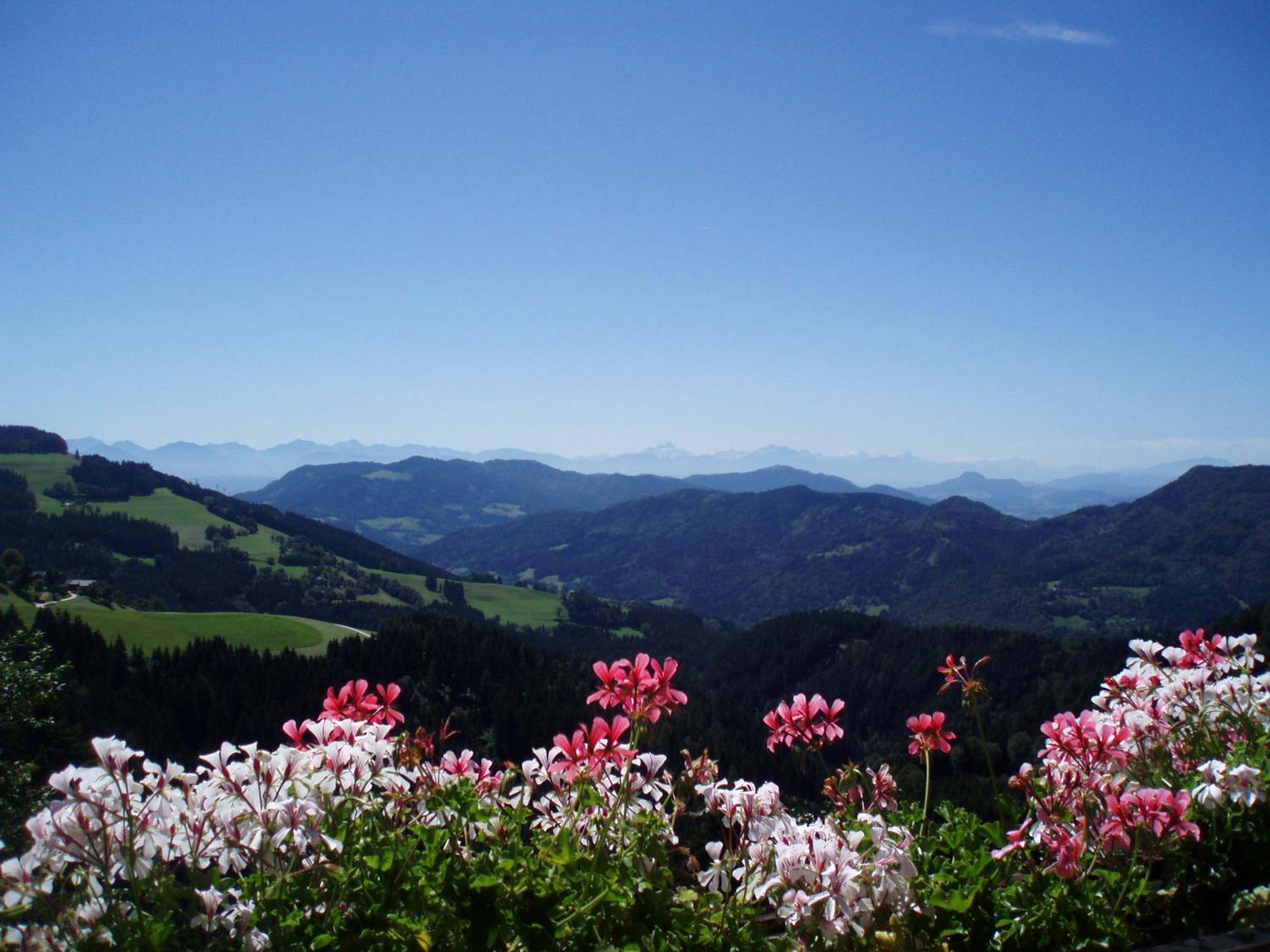 Gasthof Gutmann
