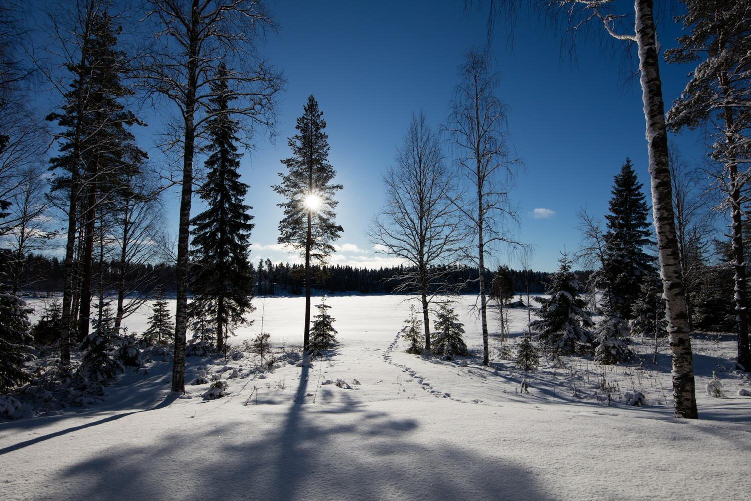 Kajaani Cottages