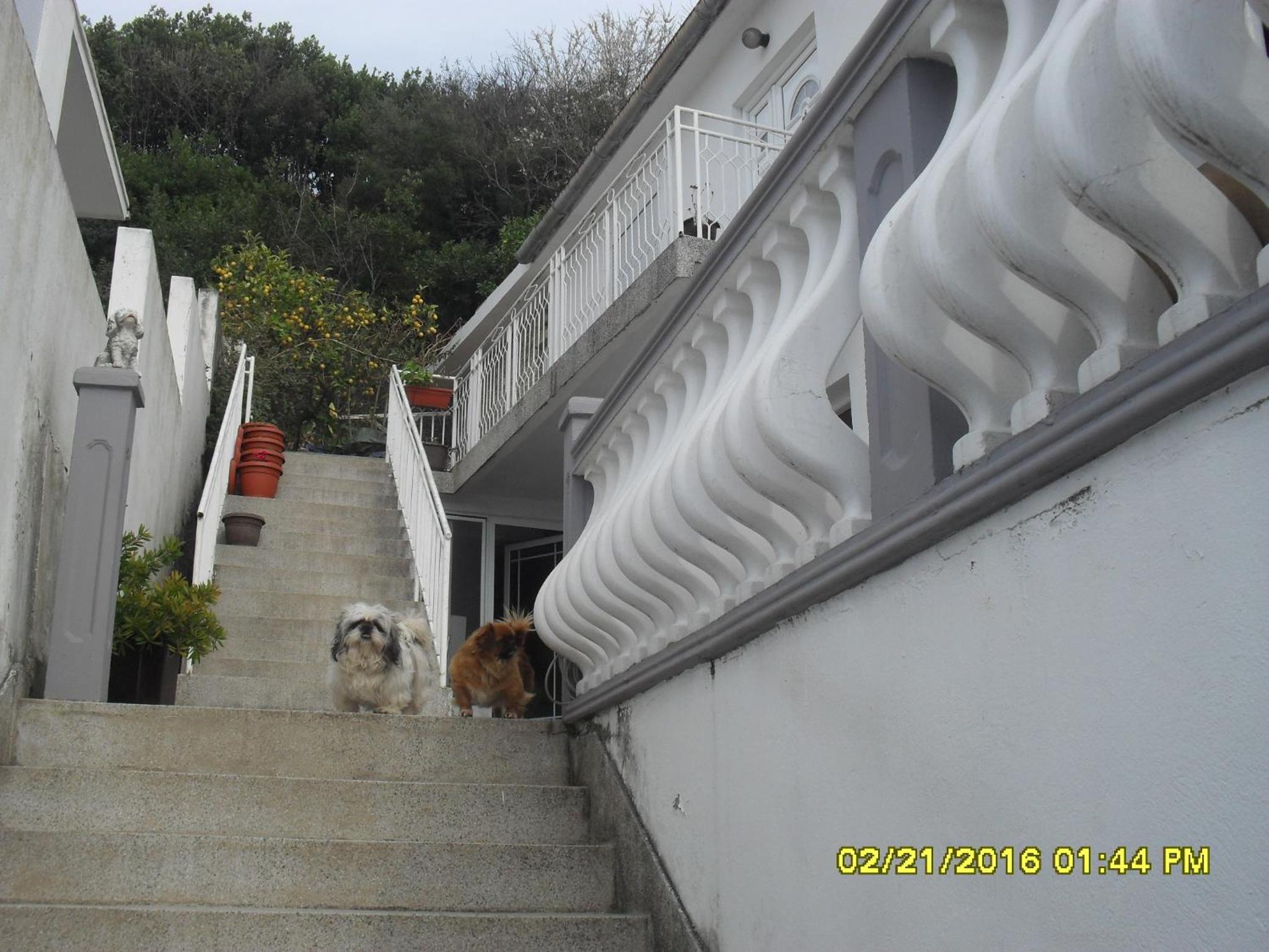 Photo 34