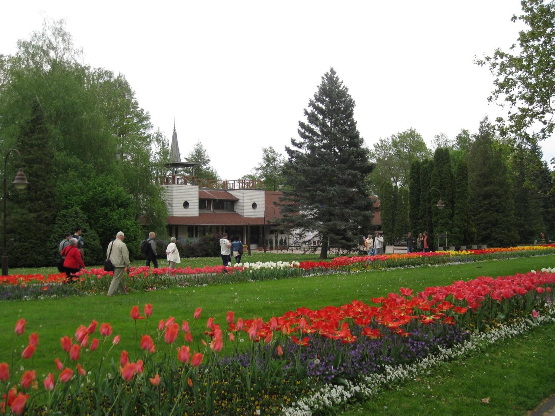 Photo 23