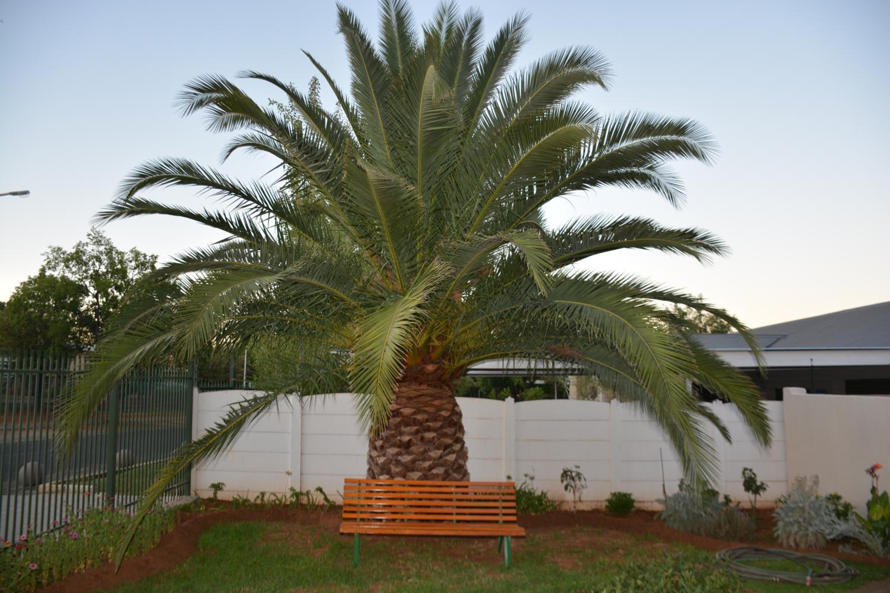 Photo 25