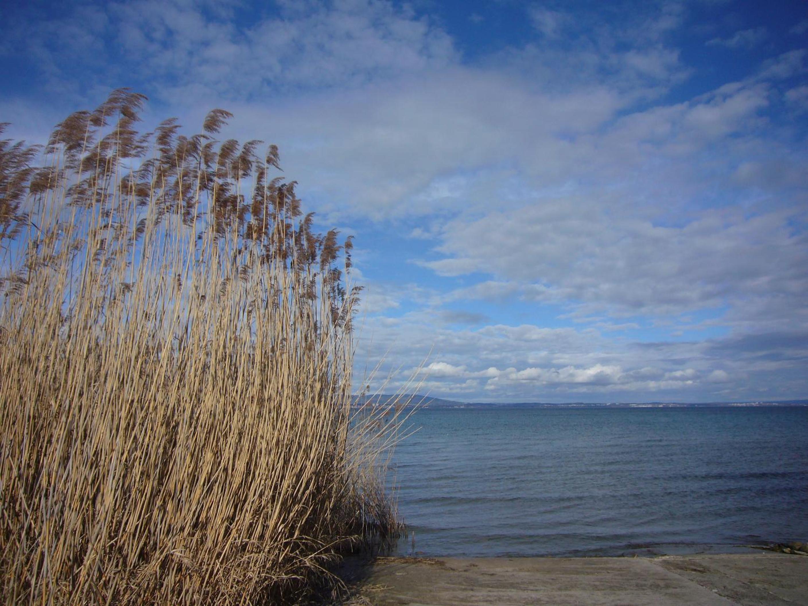 Reni's Oase am Bodensee