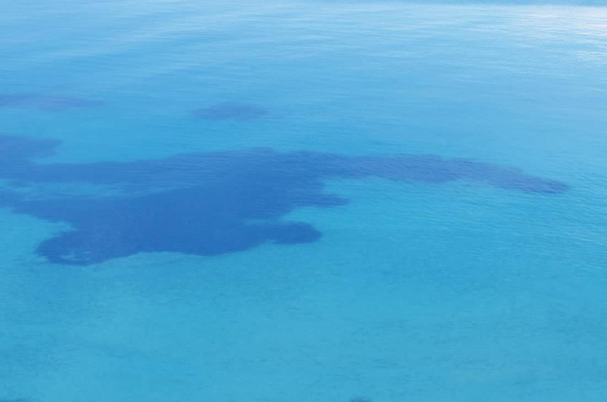 Elia Apartments Sithonia