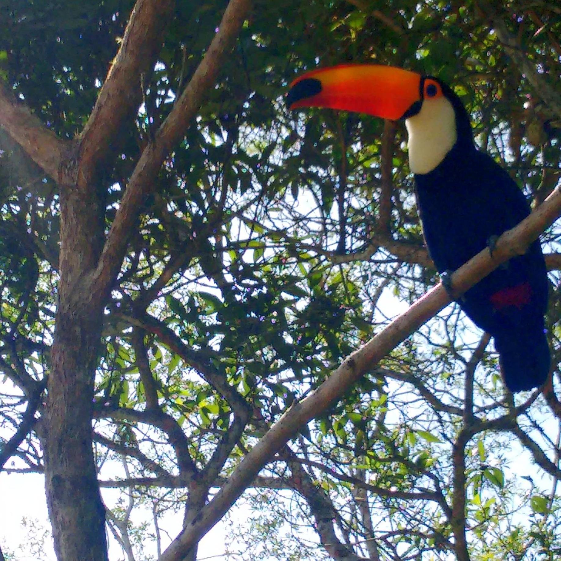 Pousada Tucano Do Cuiabá