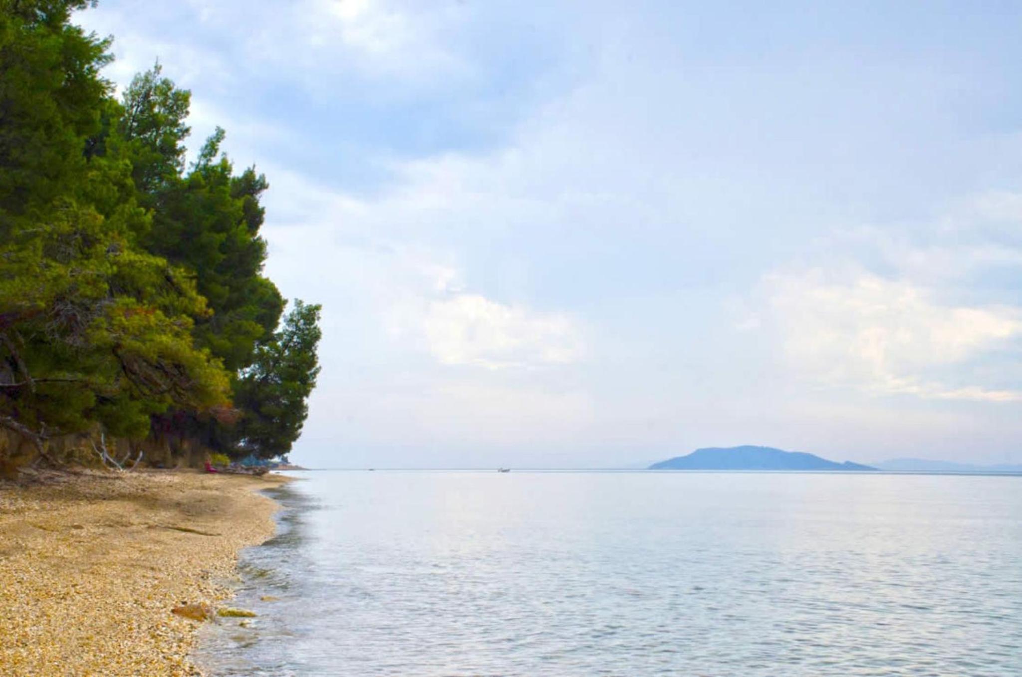 Elia Apartments Sithonia