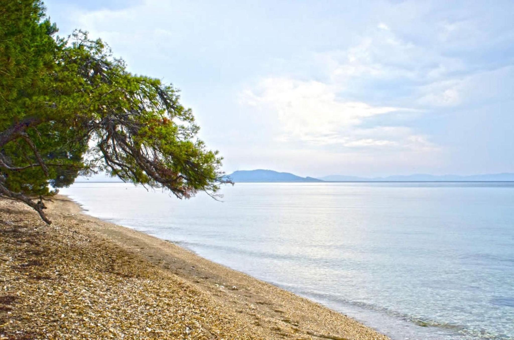 Elia Apartments Sithonia
