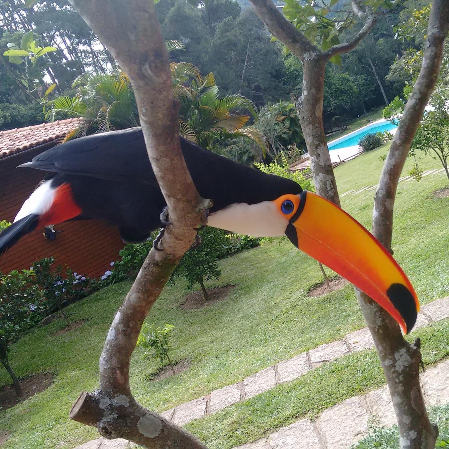 Pousada Tucano Do Cuiabá