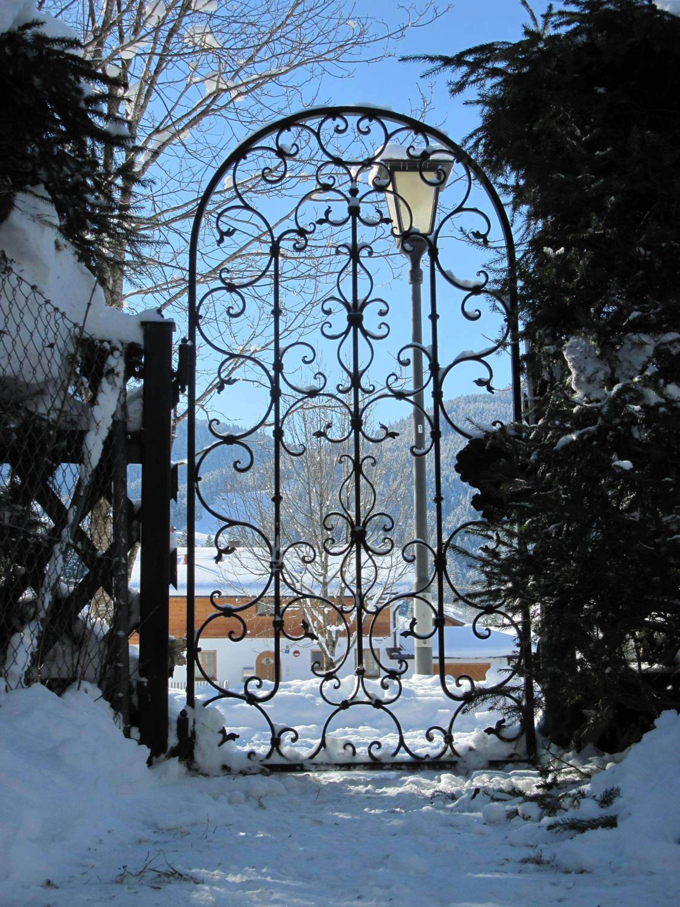 Photo 12