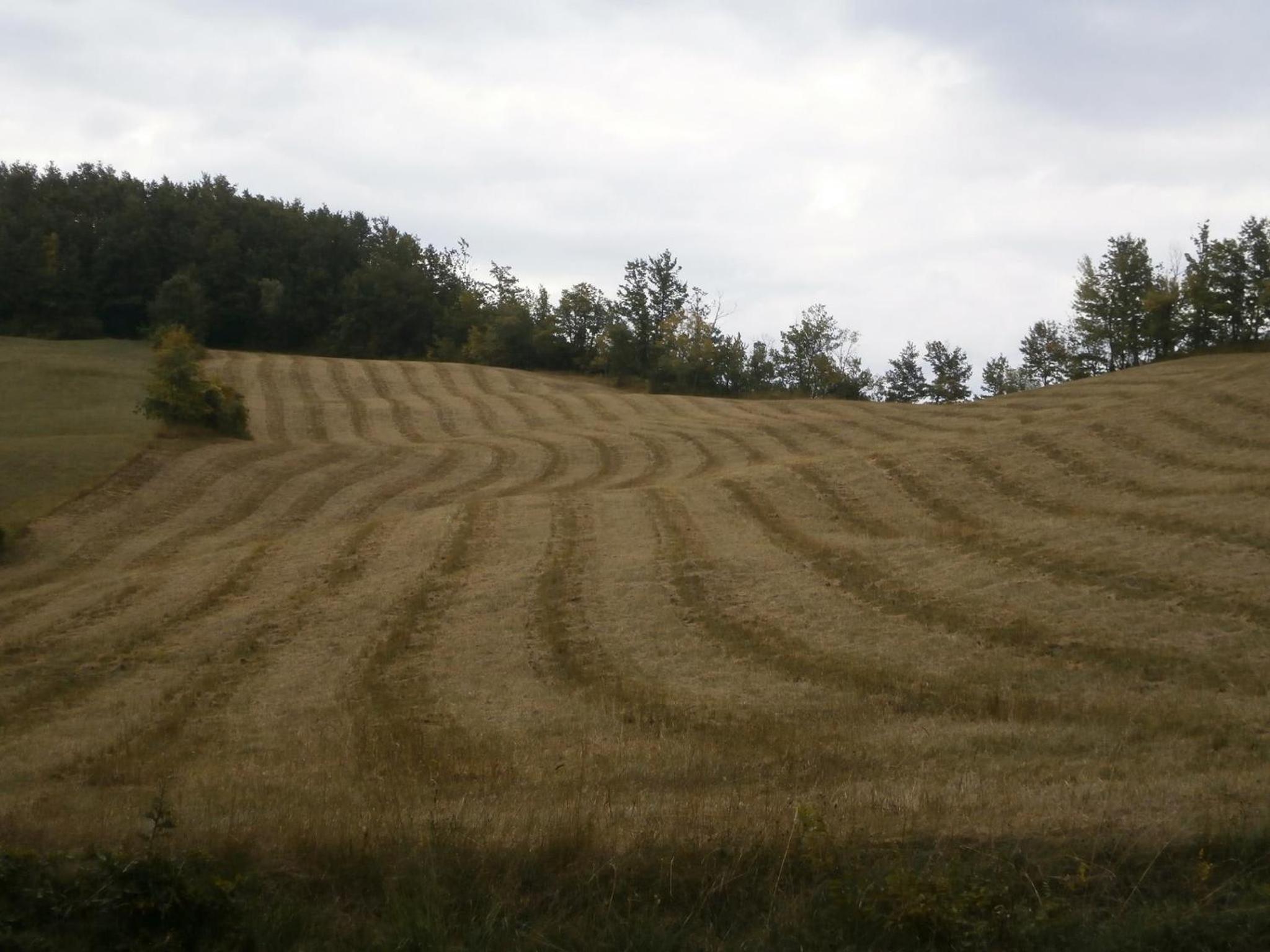 Società Agricola Cacigolara