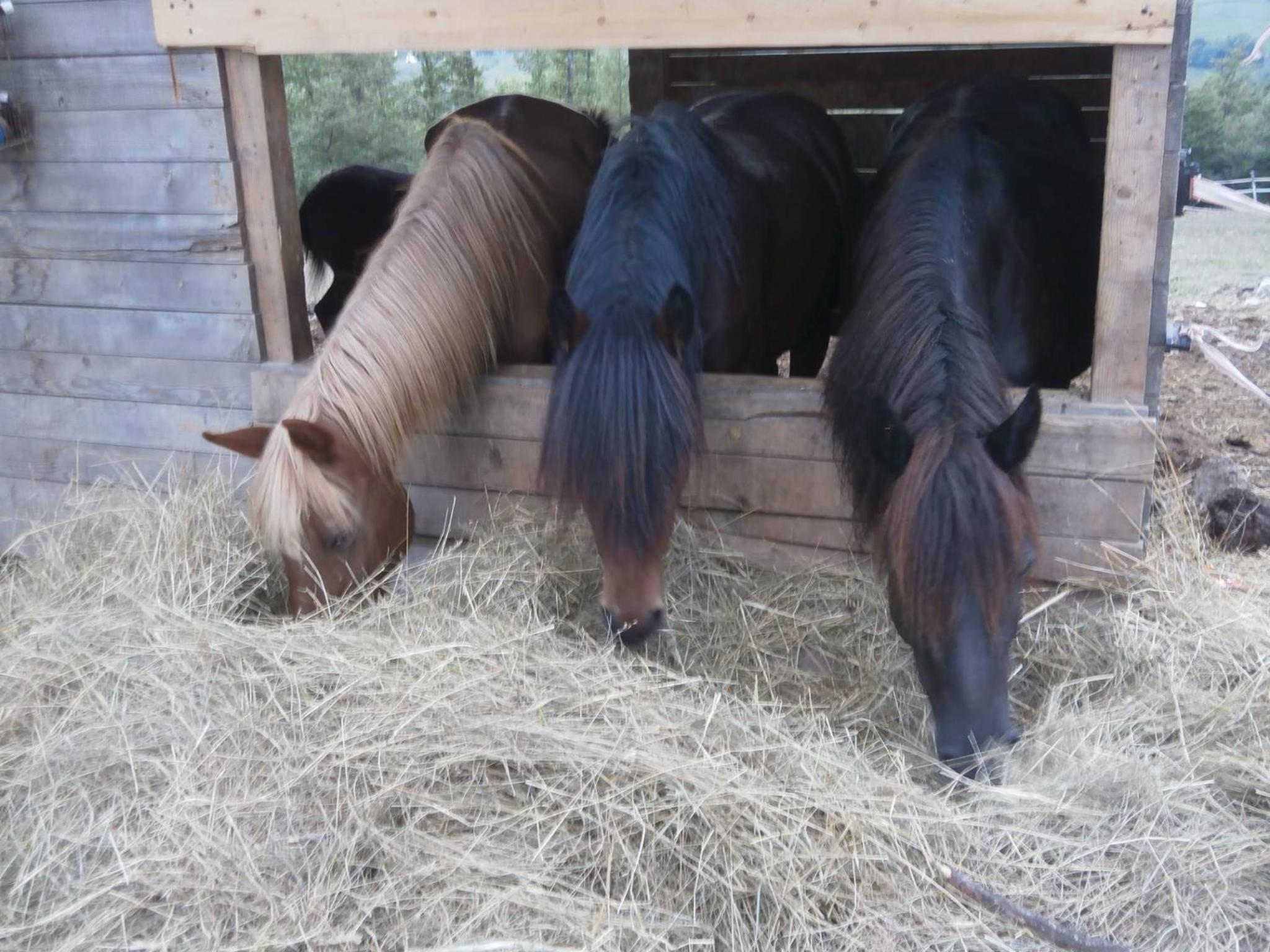 Società Agricola Cacigolara