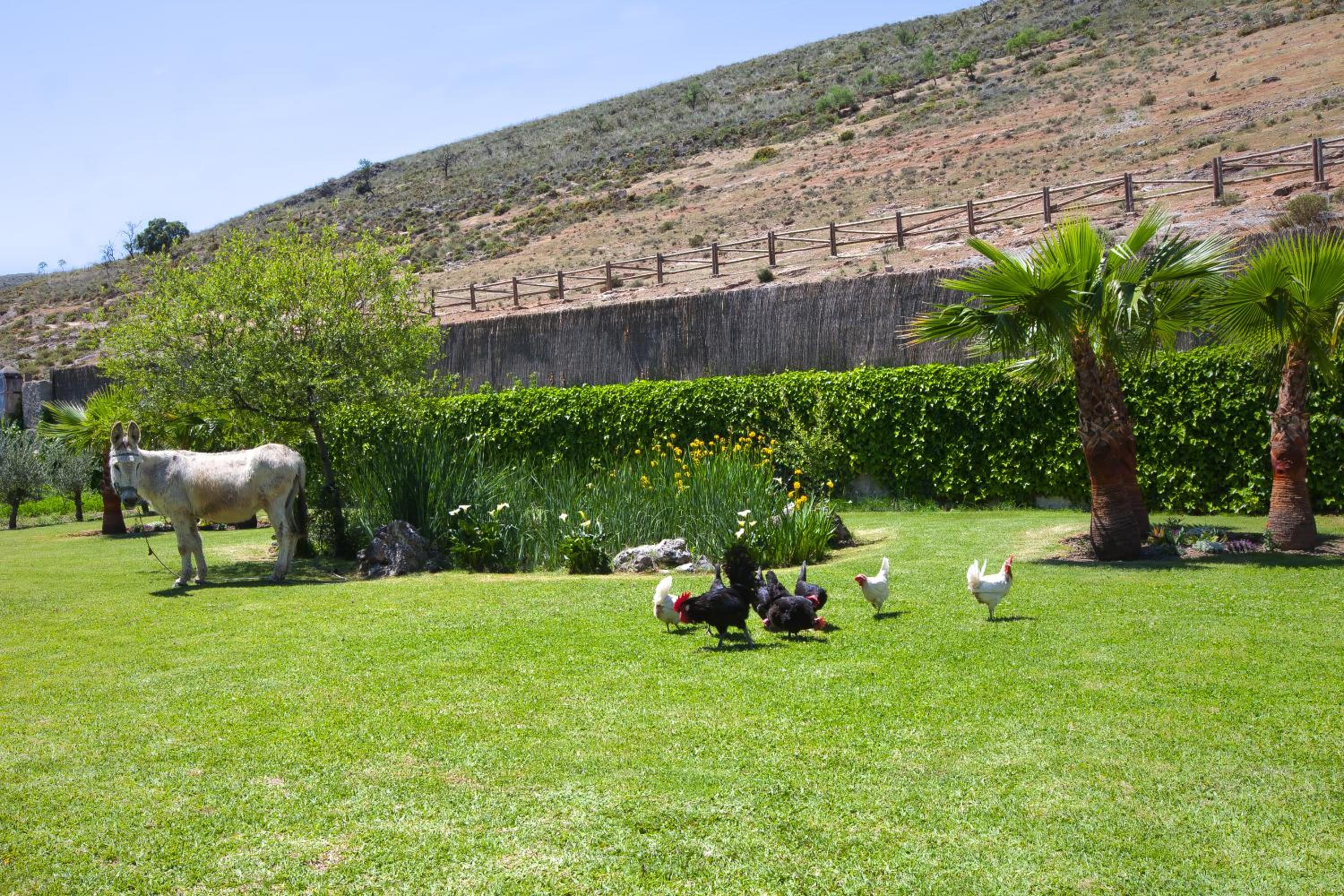 Al Agia - Los Molinos de Padul