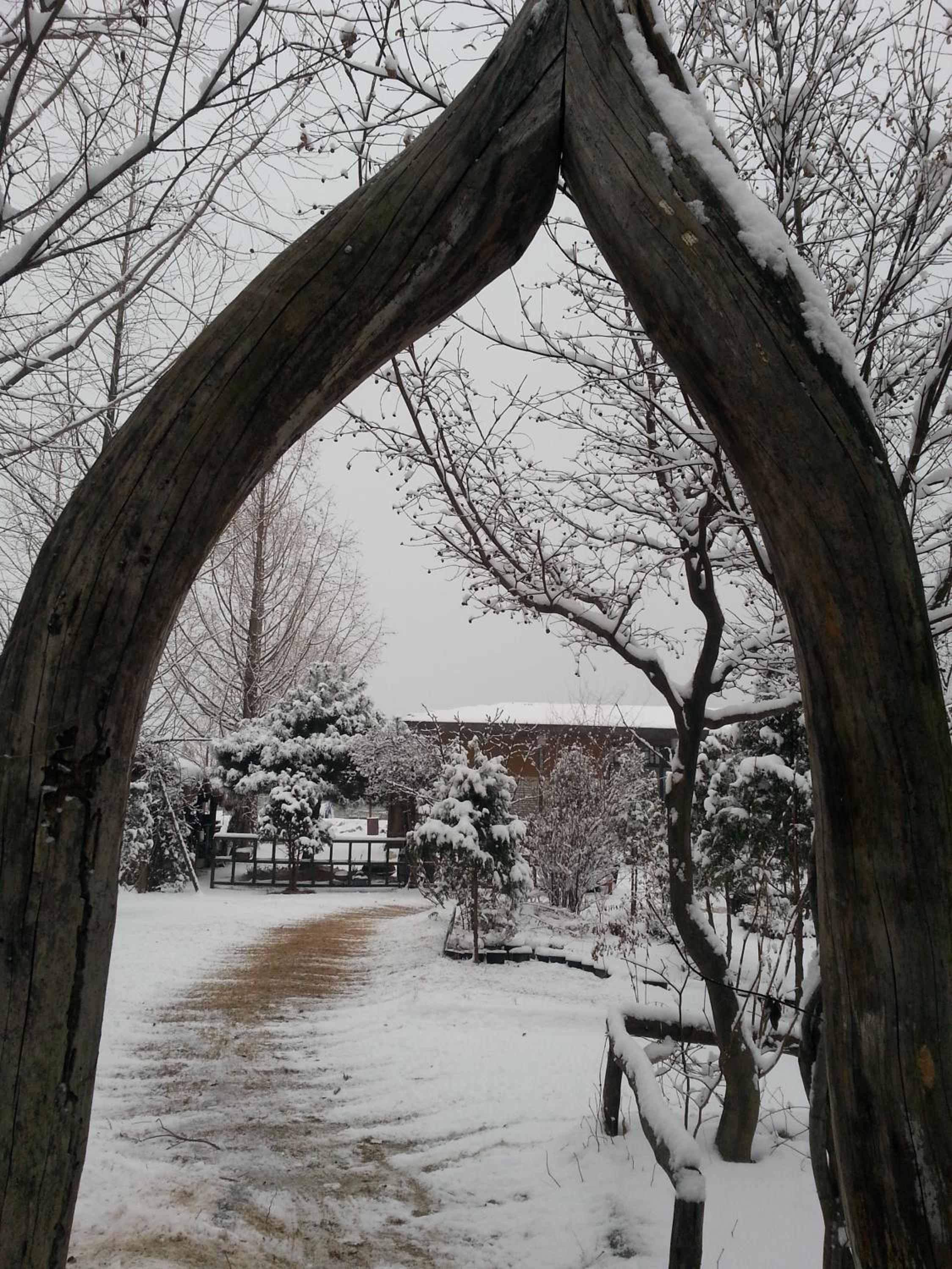 Photo 46