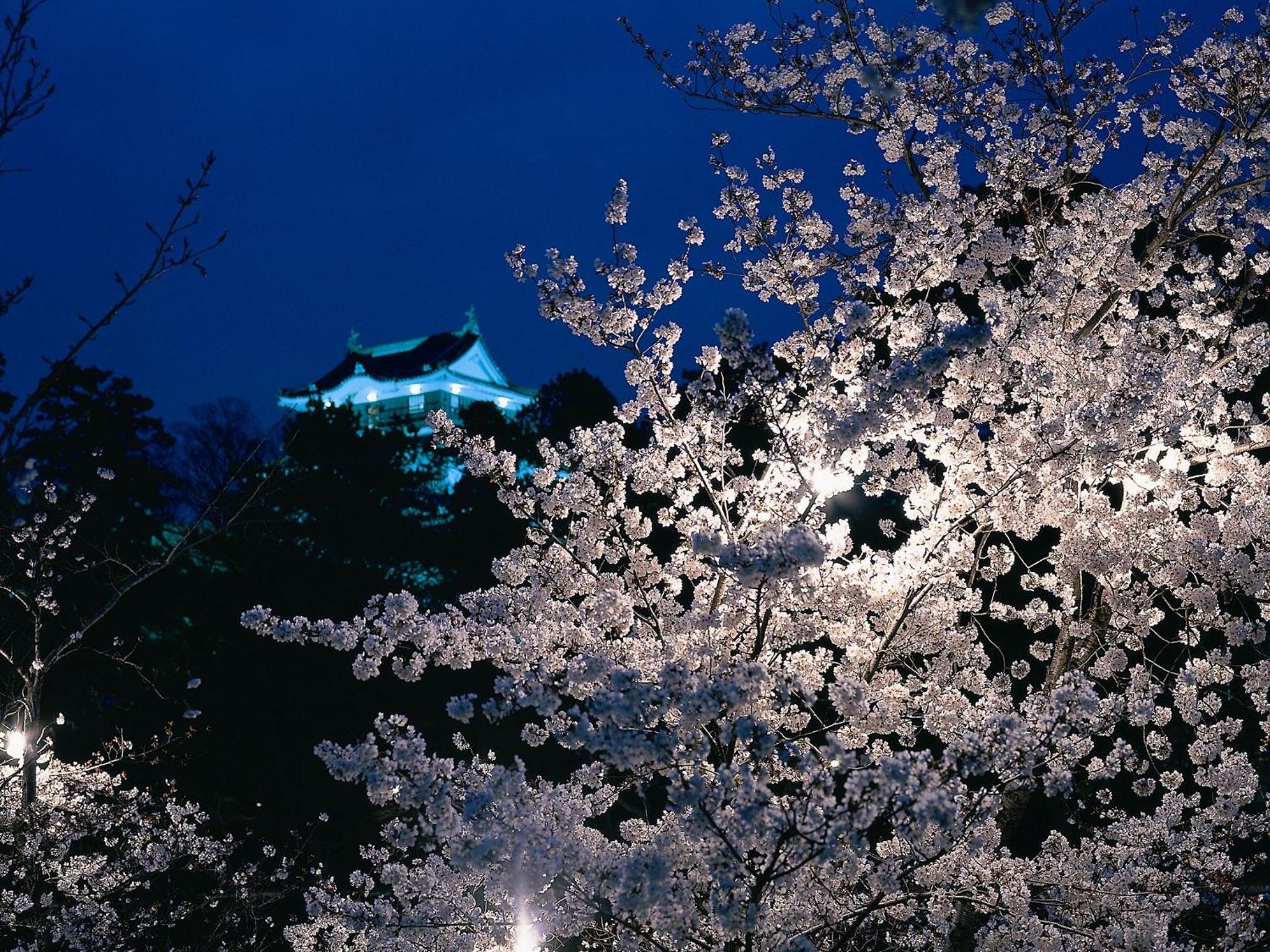 Kaze no Tani no Iori