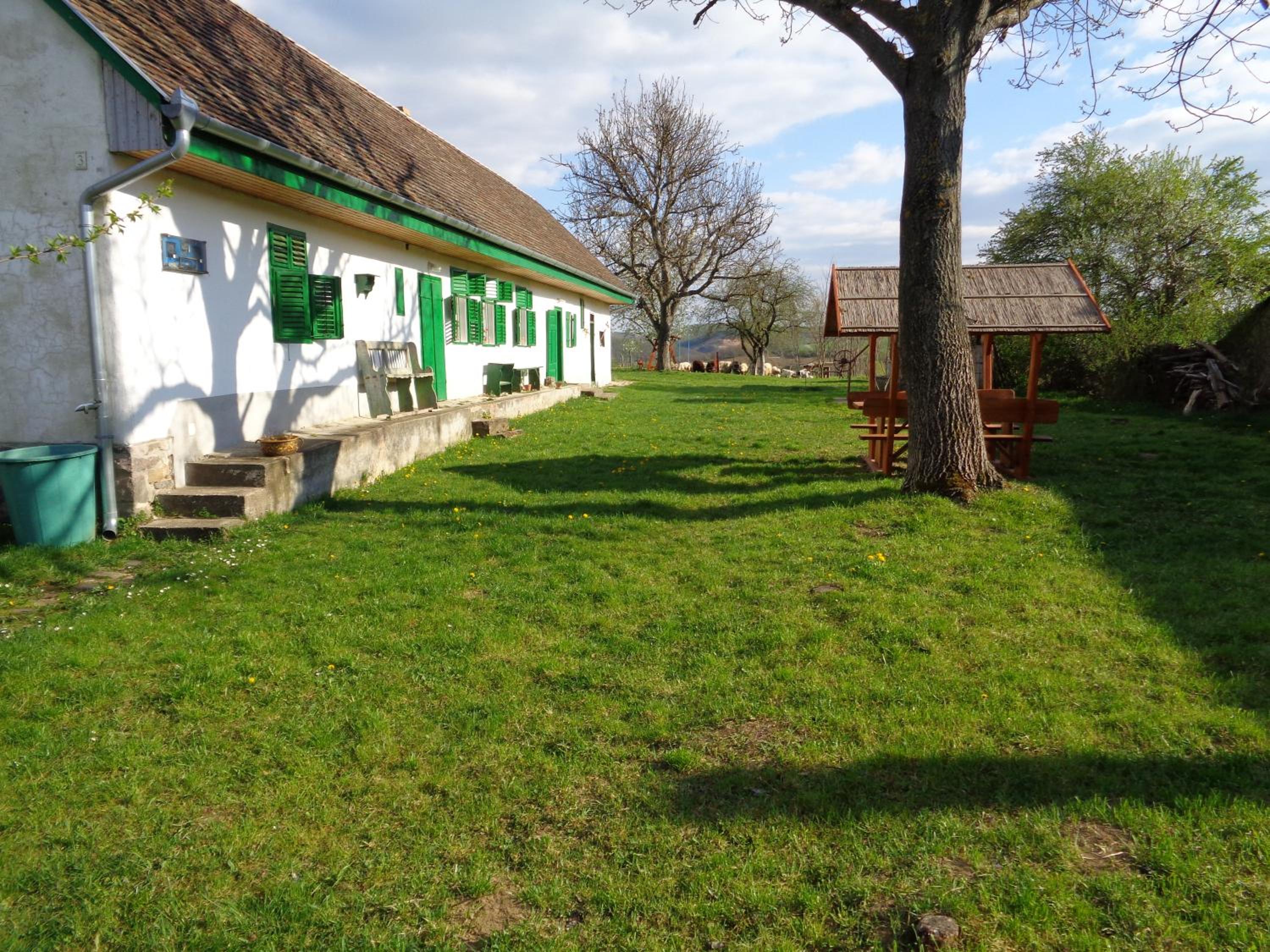 Photo 17