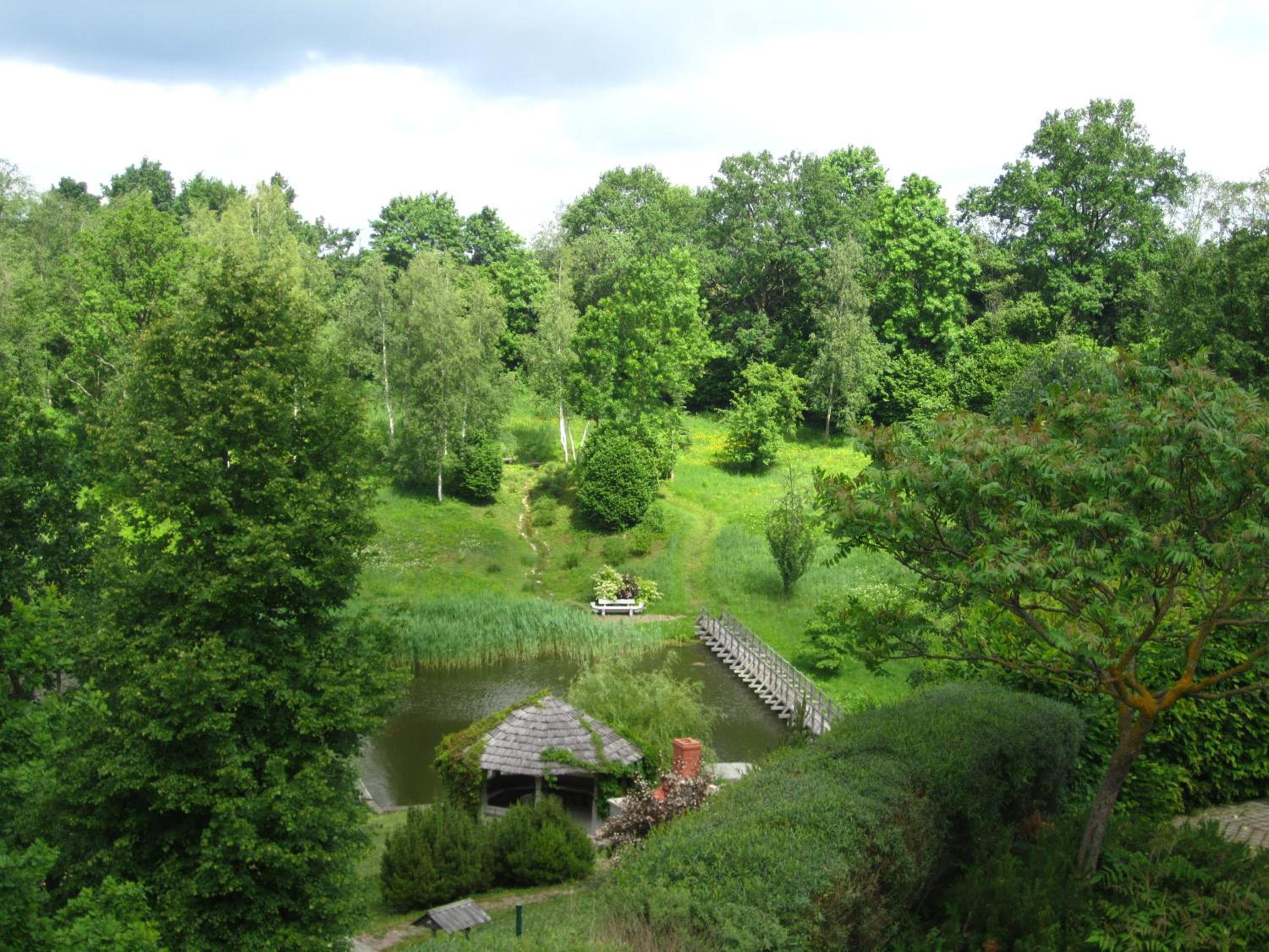 Photo 45