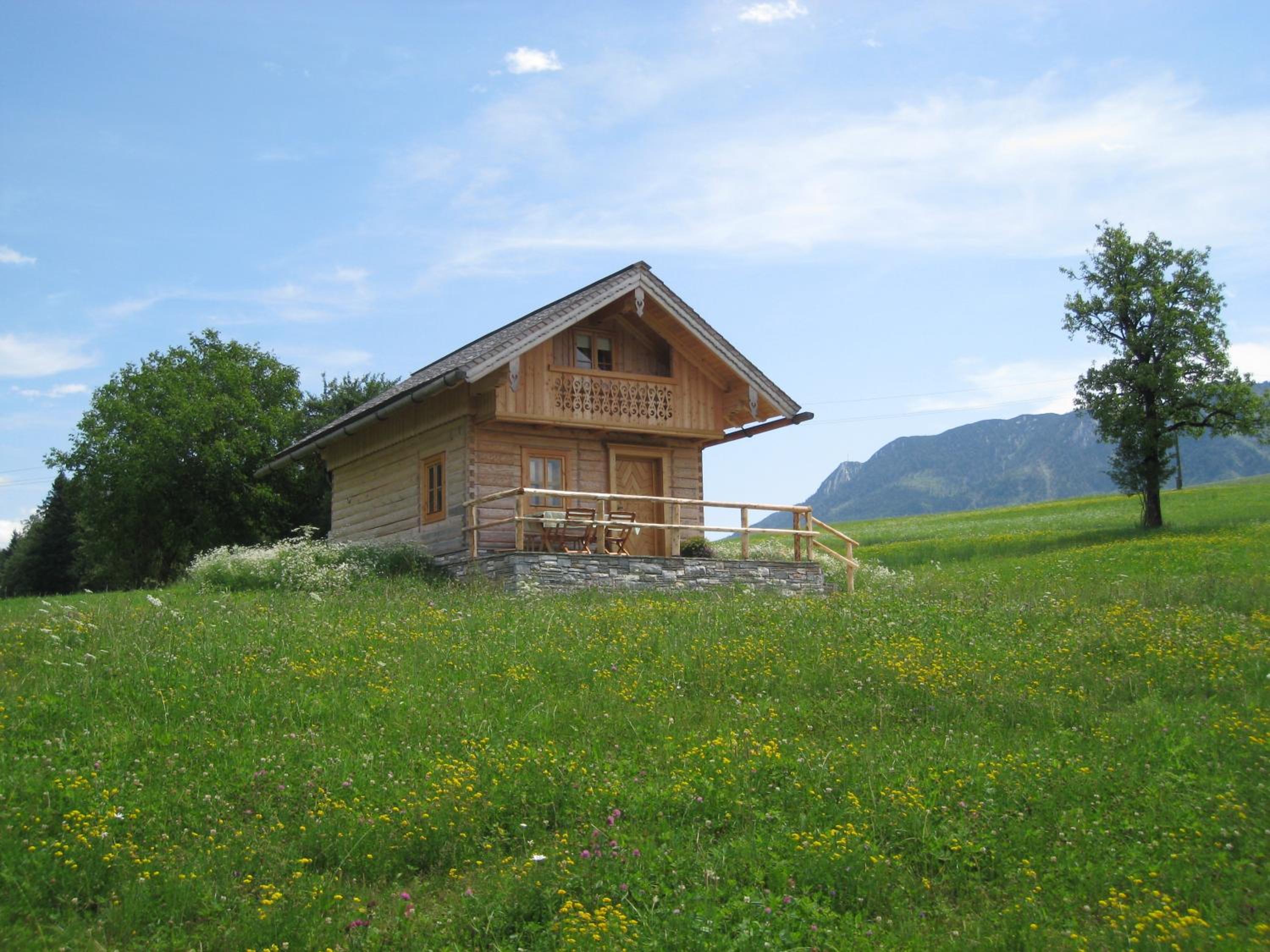 Ferienhof Brunbacher Wolfgangsee view 2