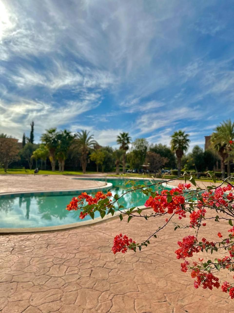 Private Riad Alemania in Marrakesh - Pool - Rooftop