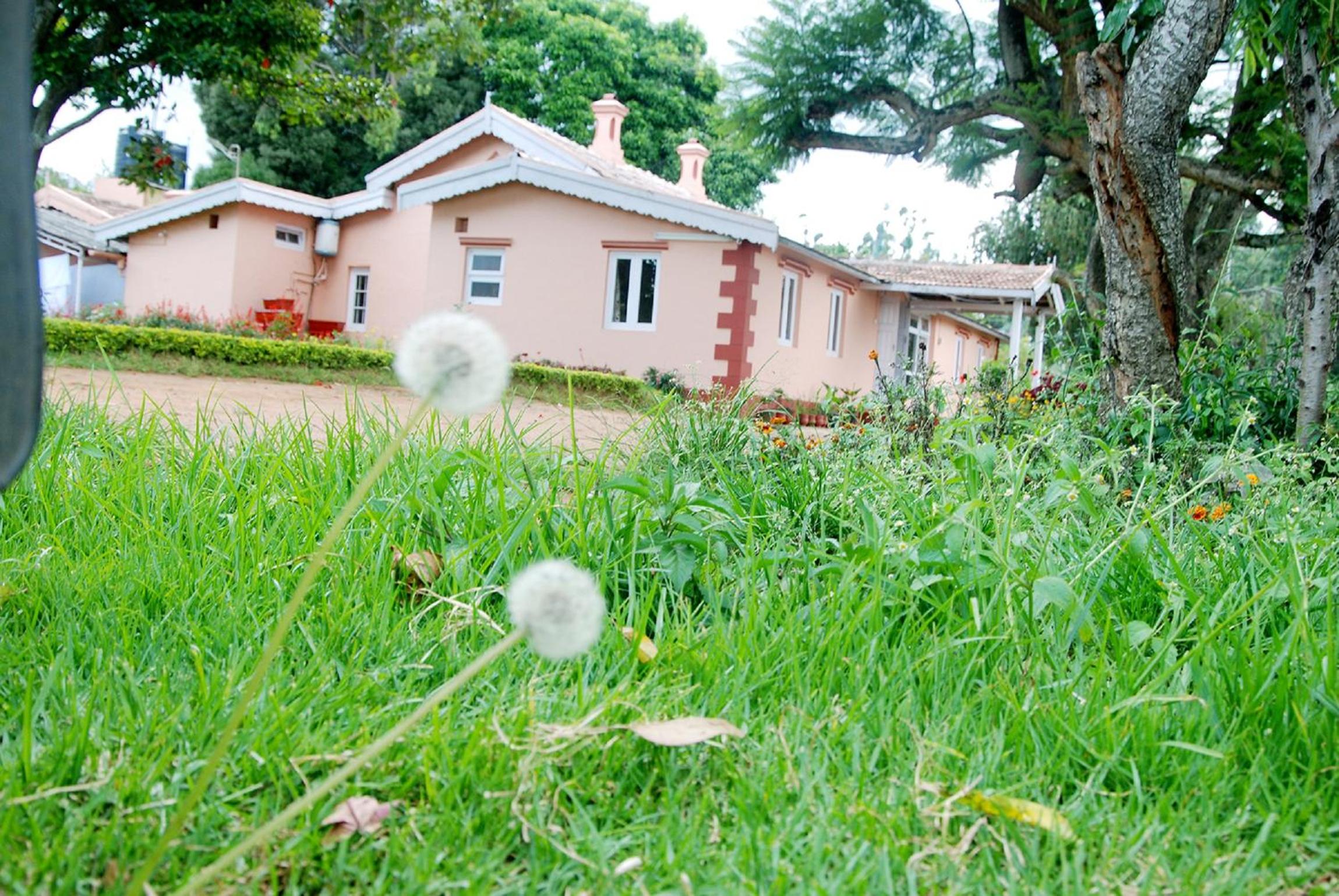 Bella Vista Homestay, photo 25