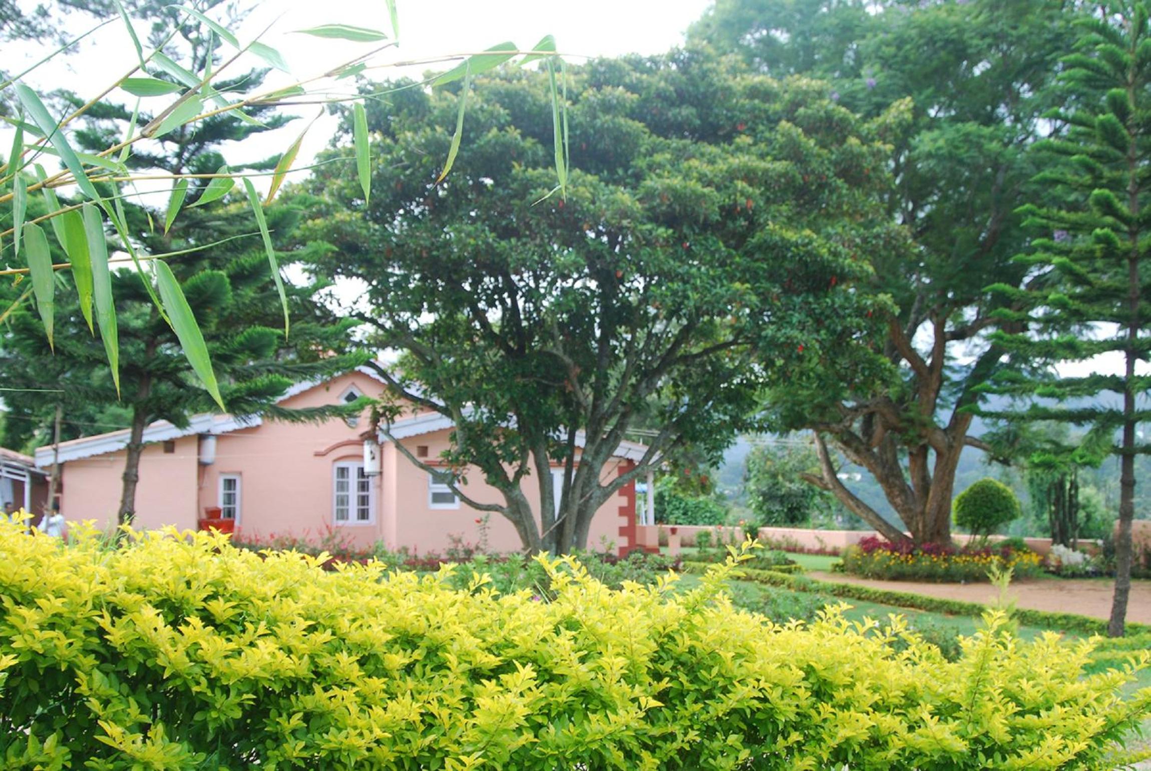 Bella Vista Homestay