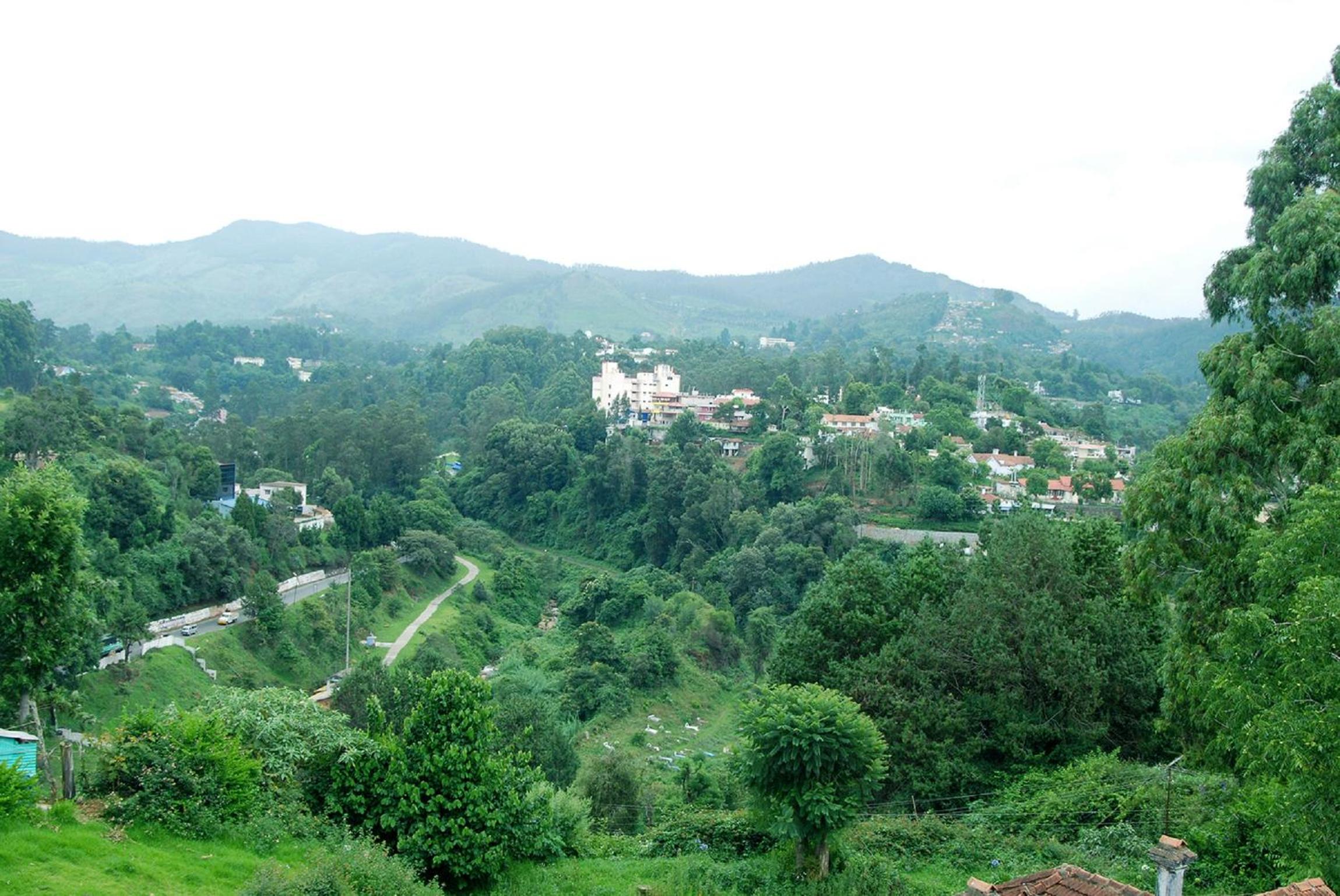Bella Vista Homestay, photo 31
