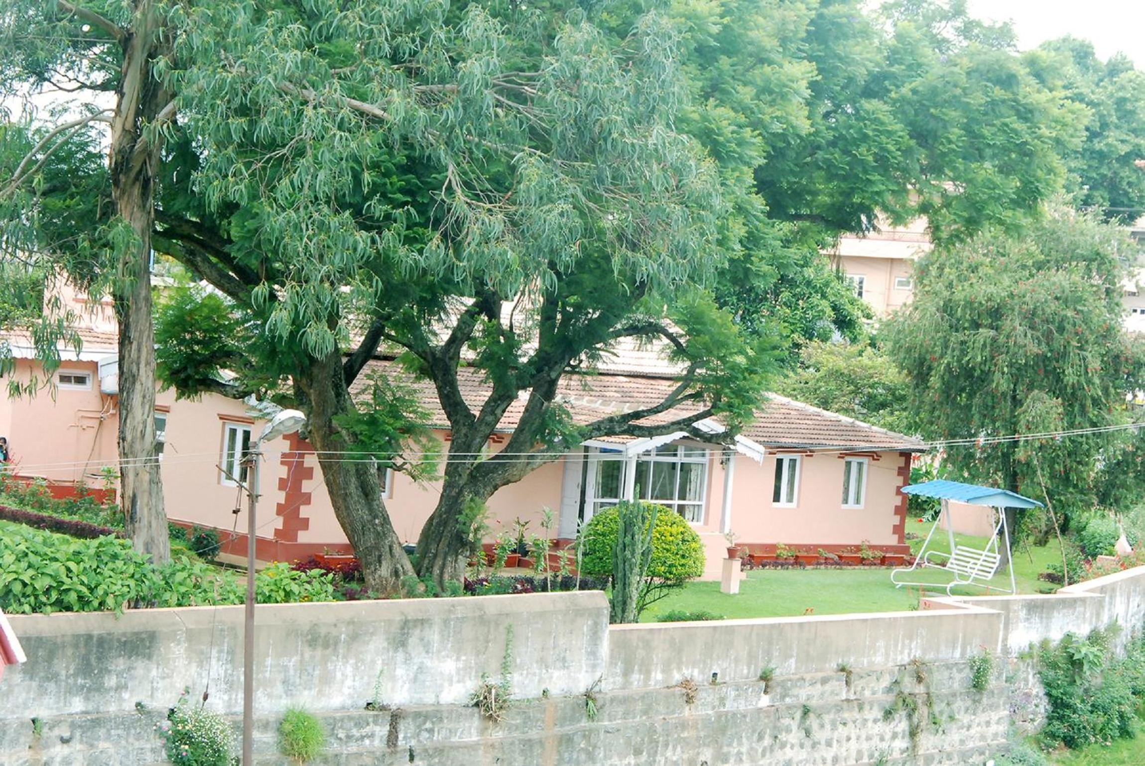 Bella Vista Homestay, photo 32