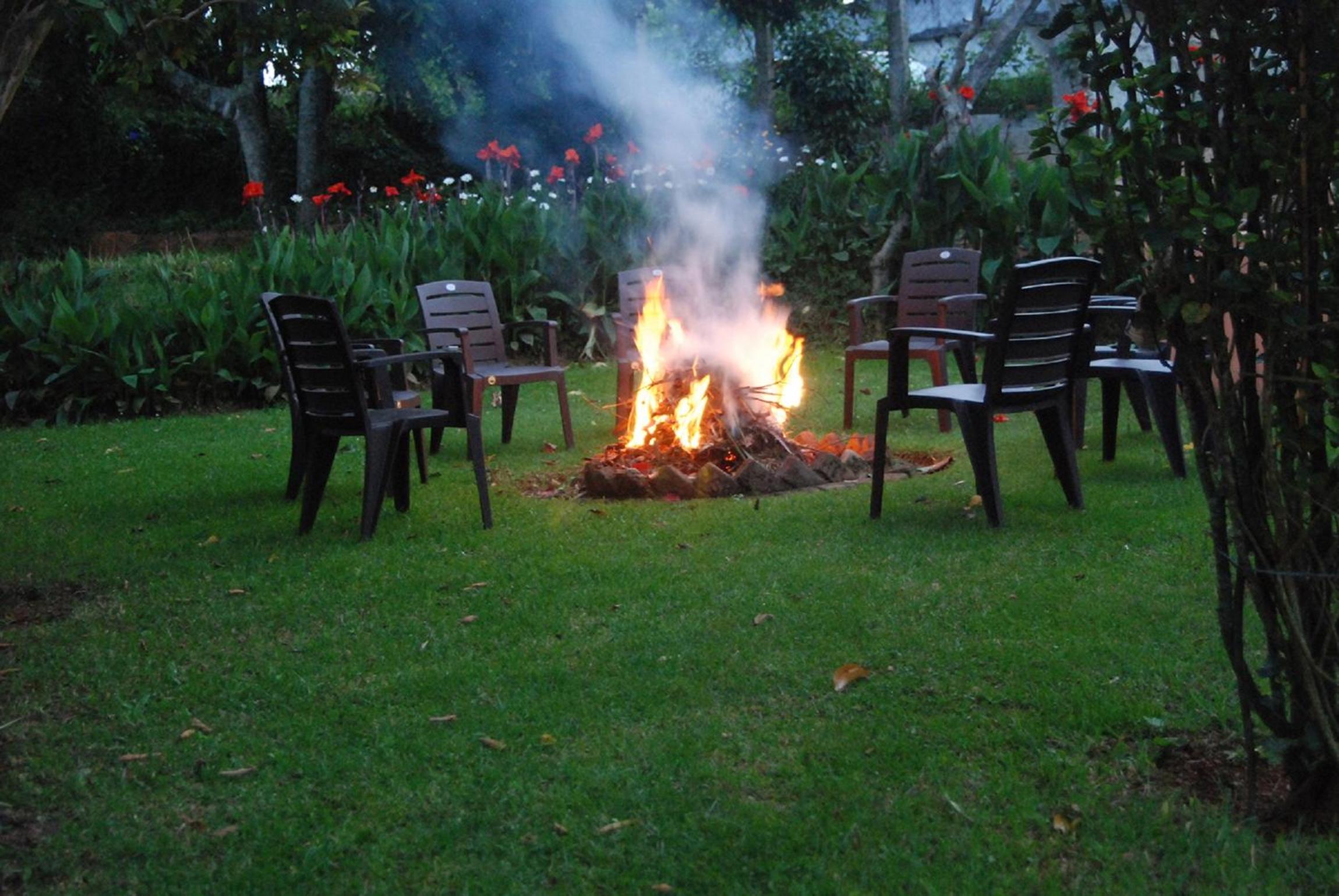 Bella Vista Homestay, photo 15