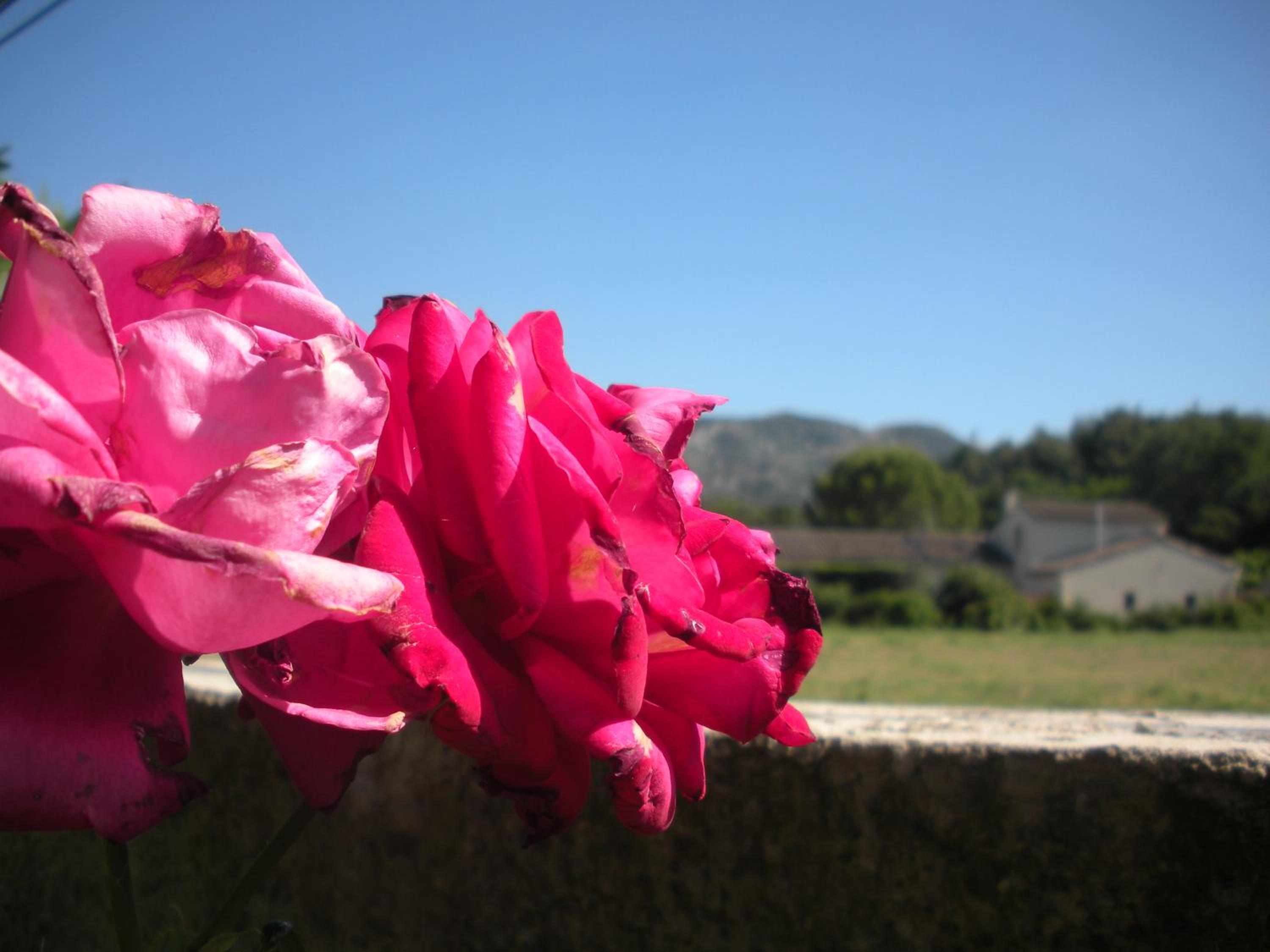 Gites Climatisés Piscine Chauffée La Balancelle, photo 76