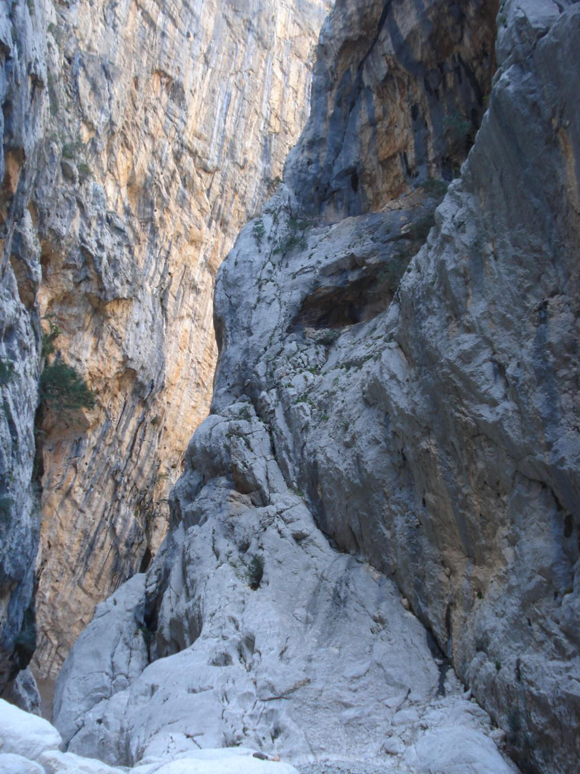 Photo 27