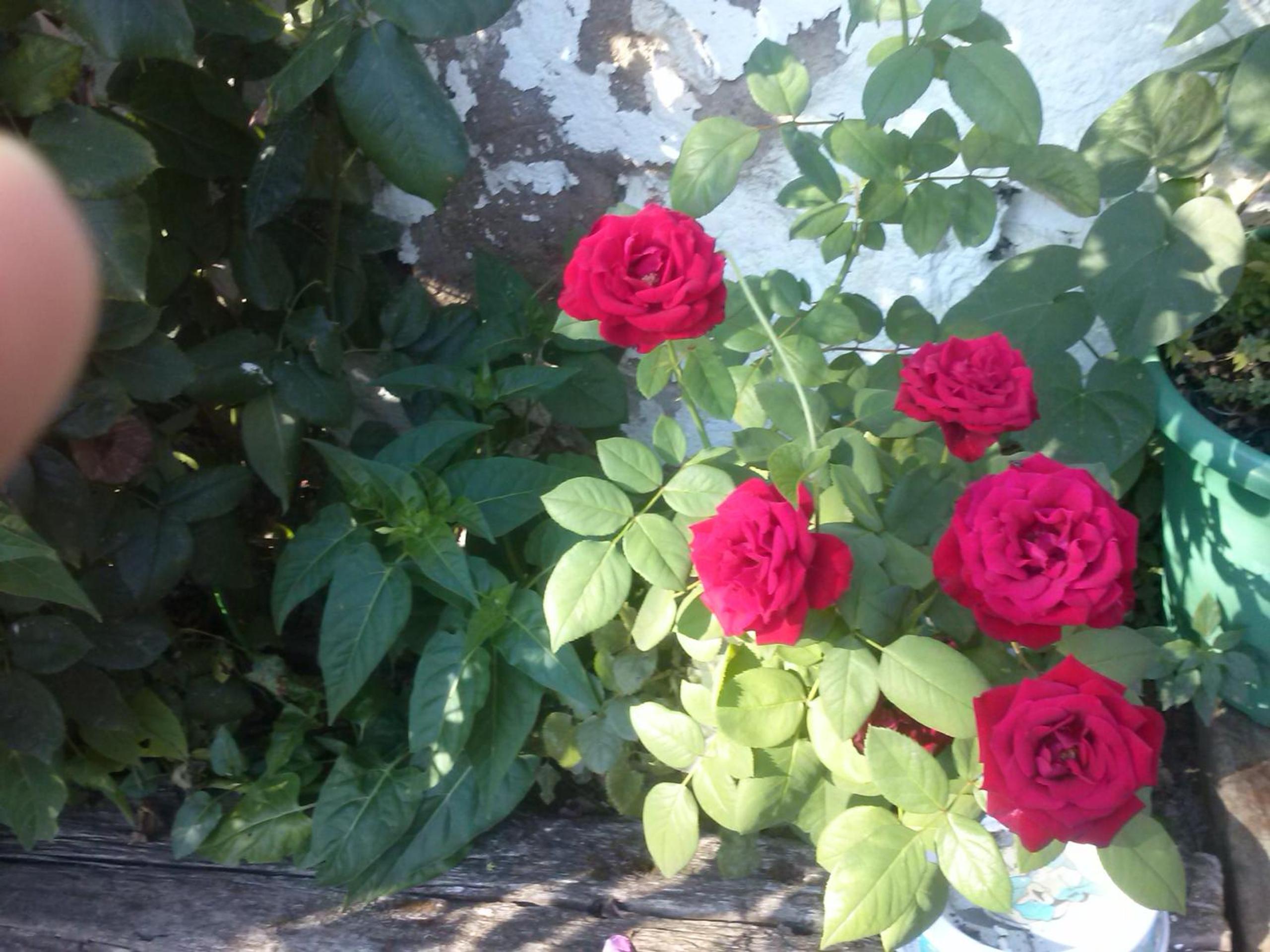 Photo 14