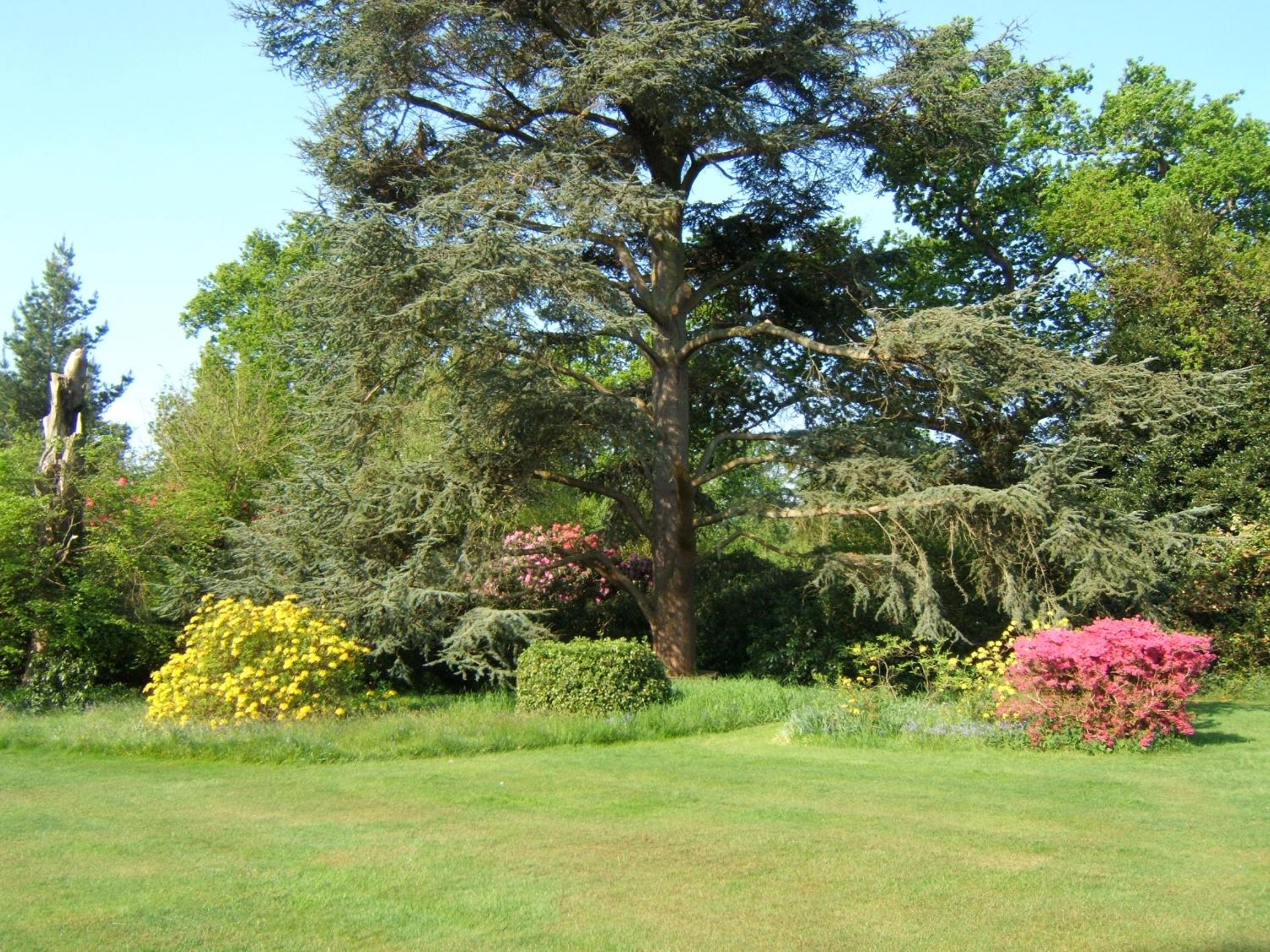 Hollybank House