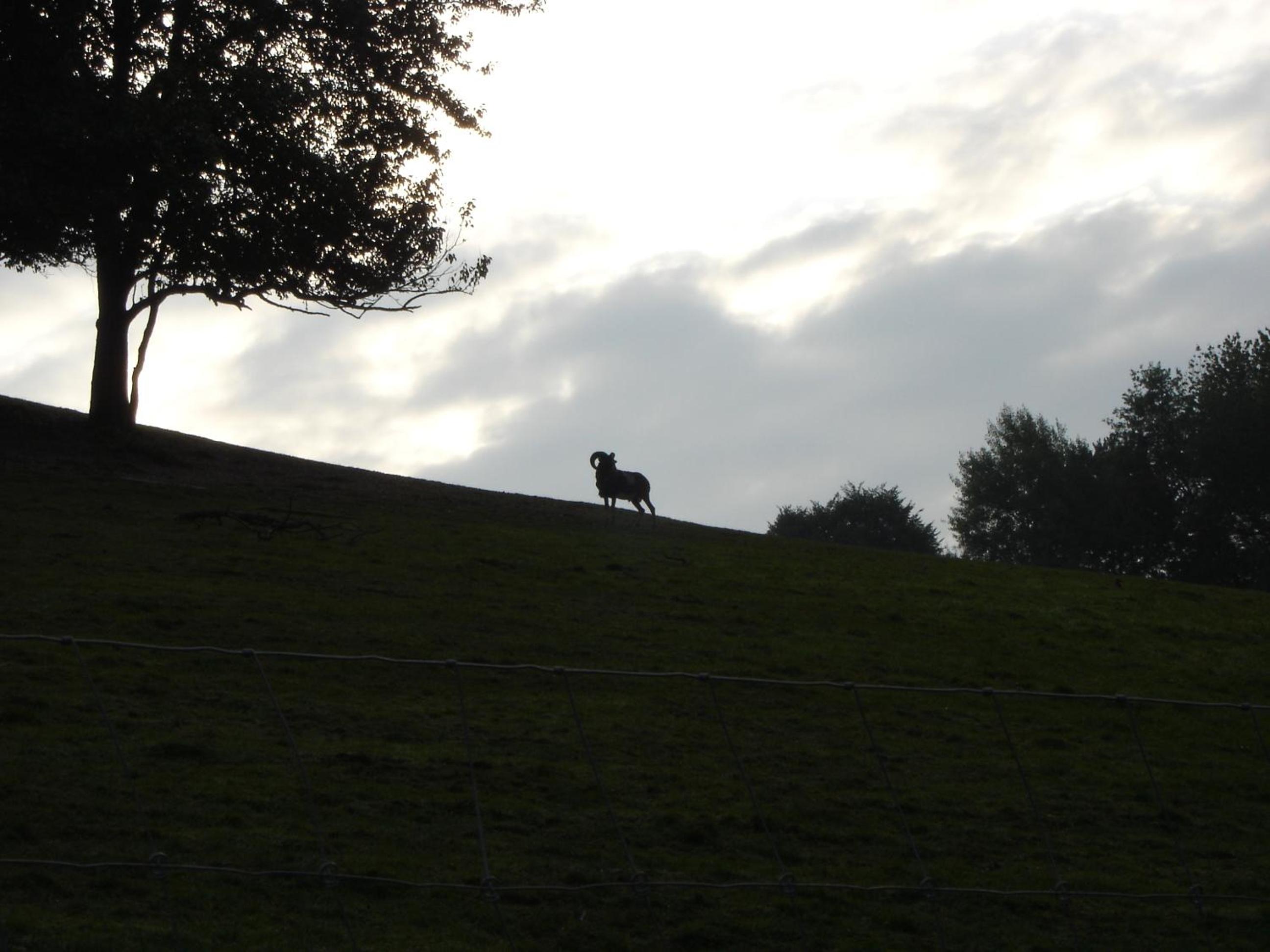 Photo 17