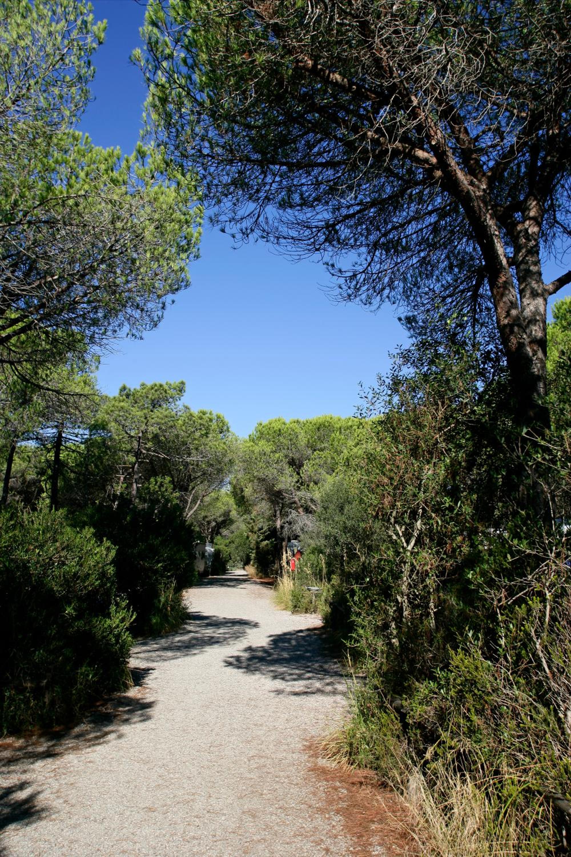 Camping Maremma Sans Souci