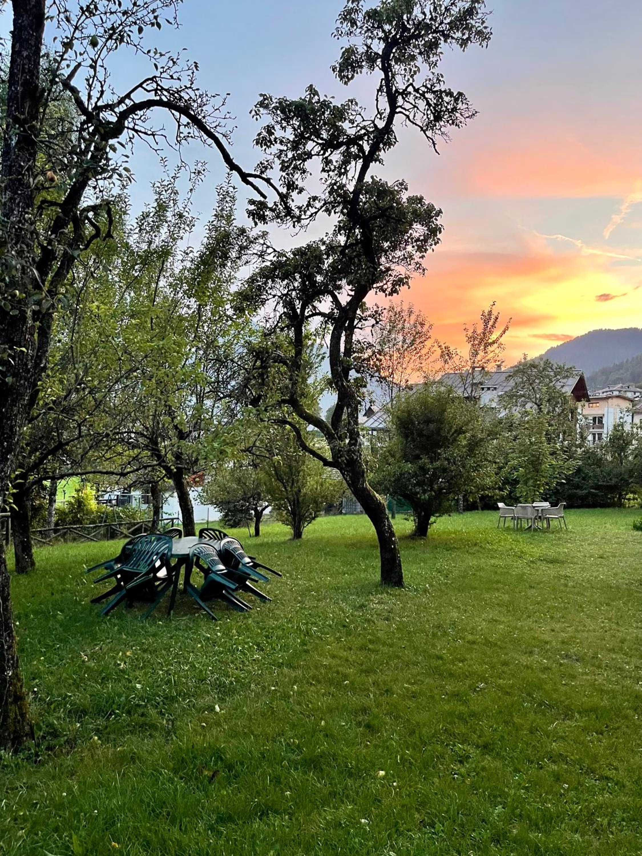 Garden Dream